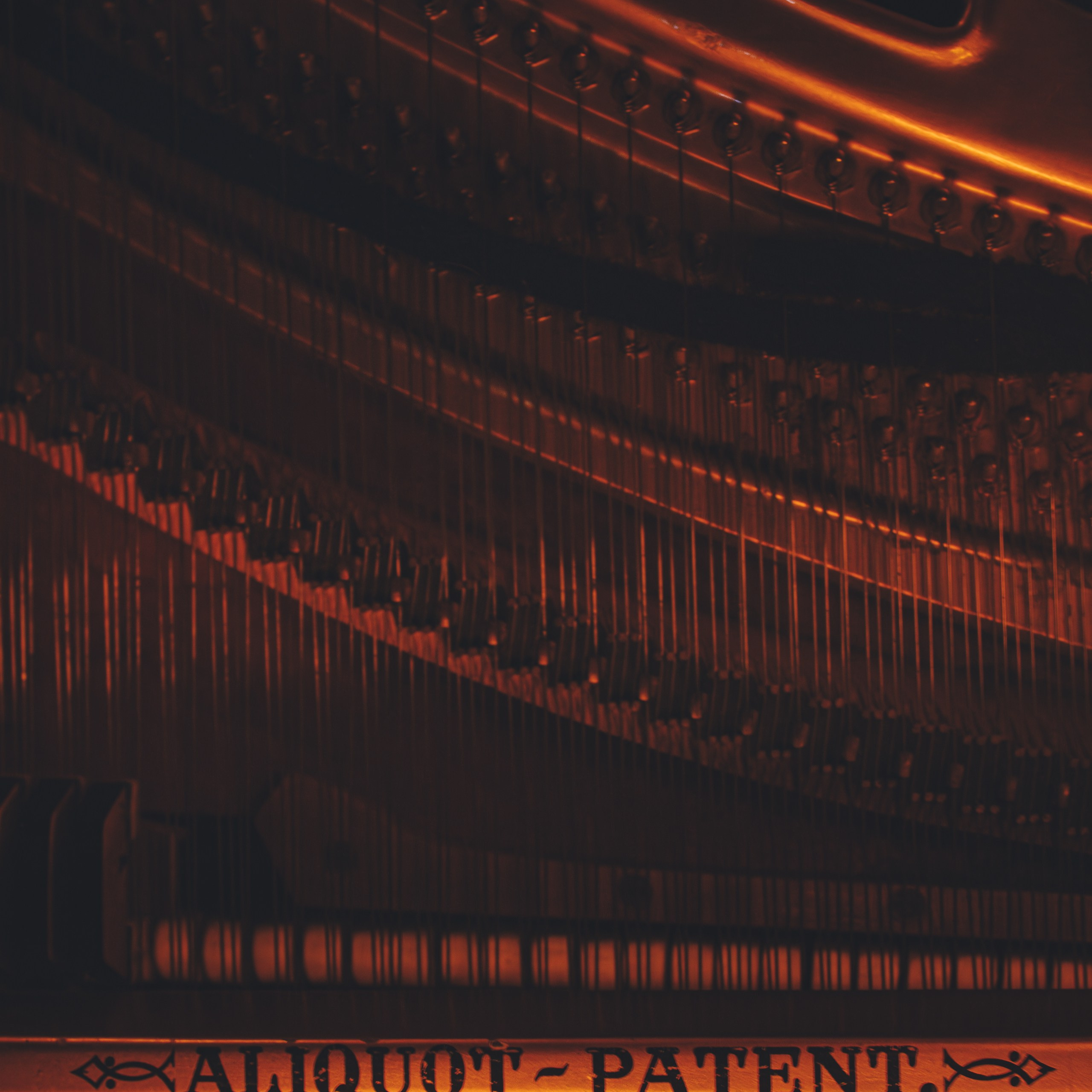 Репортаж. Свадебный и портретный фотограф в Москве Сергей Бузин