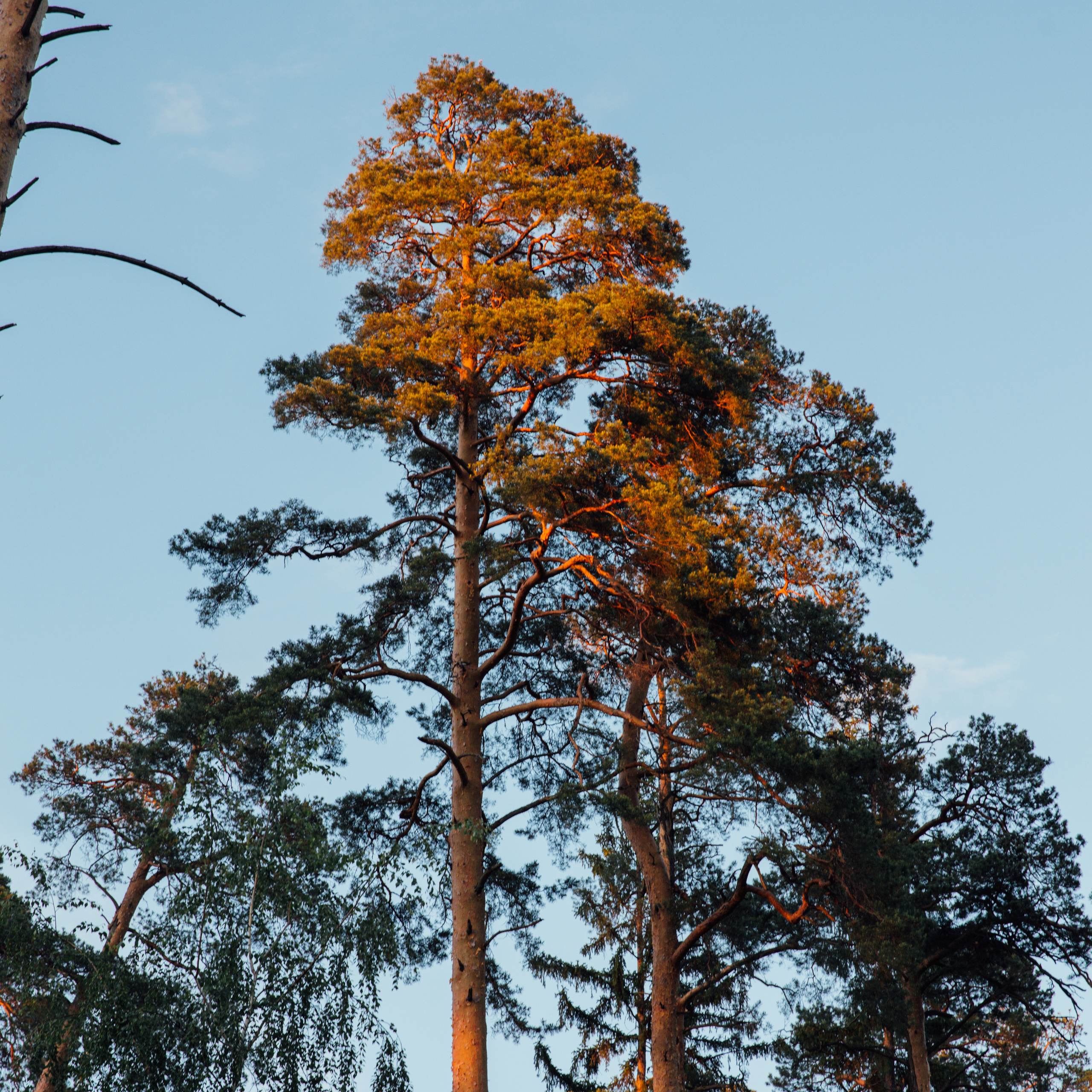 Выкса и Арт-овраг. Свадебный и портретный фотограф в Нижнем Новгороде и Нижегородской обл