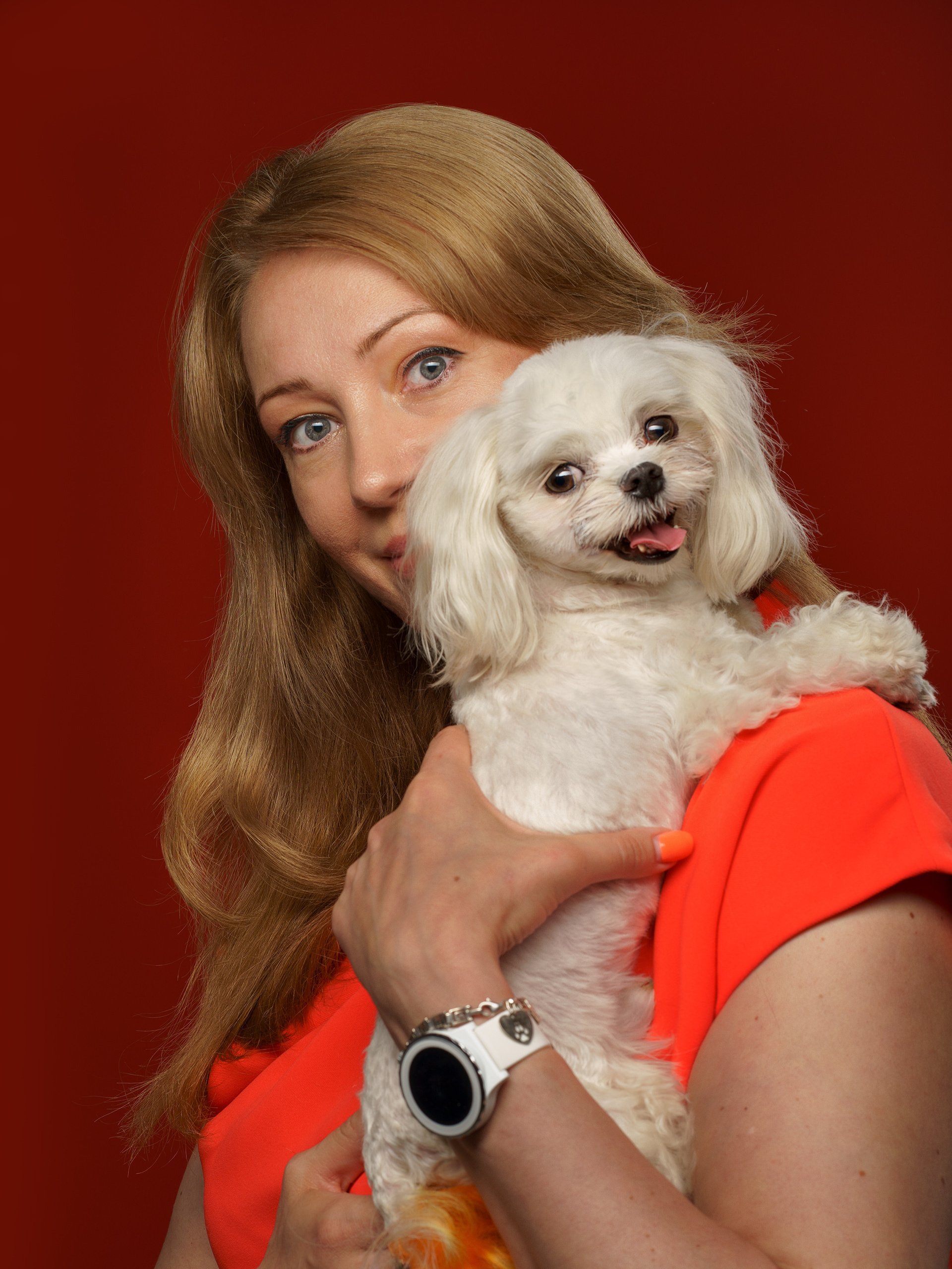 Девушка с маленькой собачкой породы мальтийская болонка фотосессия в студии