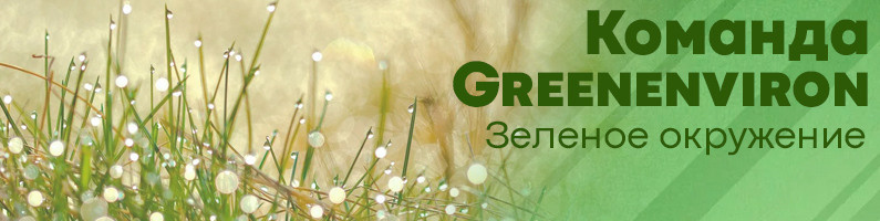 Команда Гринвей — Greenenviron