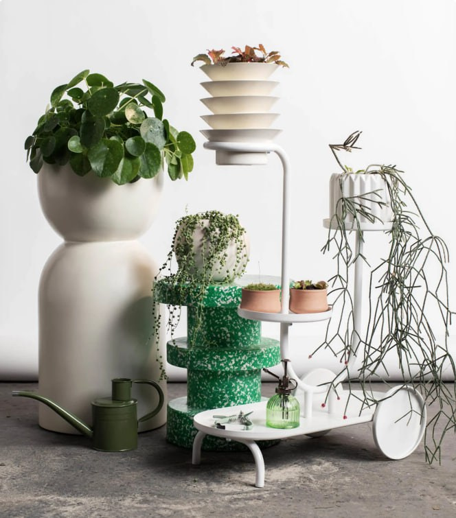 Terra Futura, растения с светлых современных горшках и подставках, фото из подборки Pinterest Predicts 2025