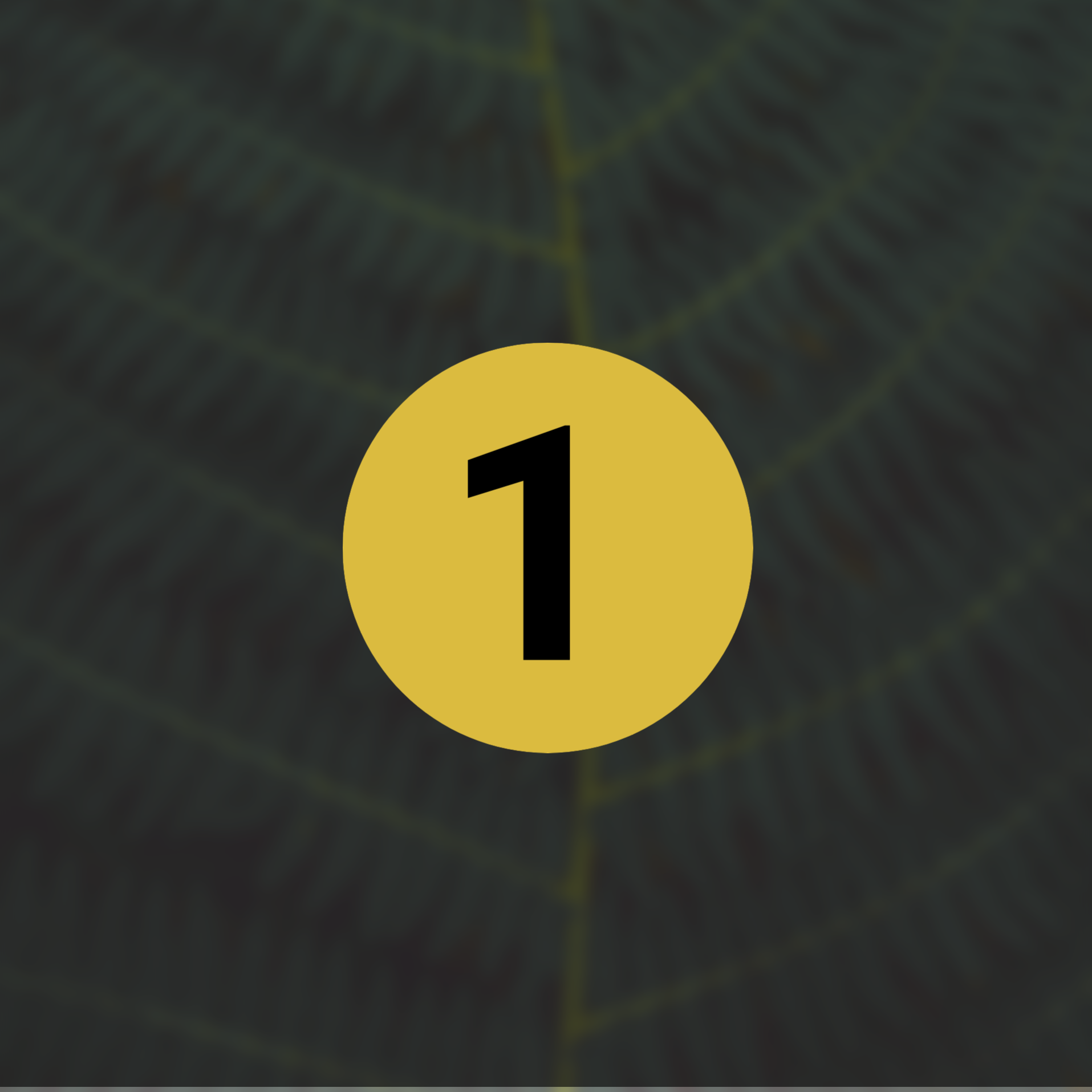 Сайт-приглашение на фестиваль трансформации