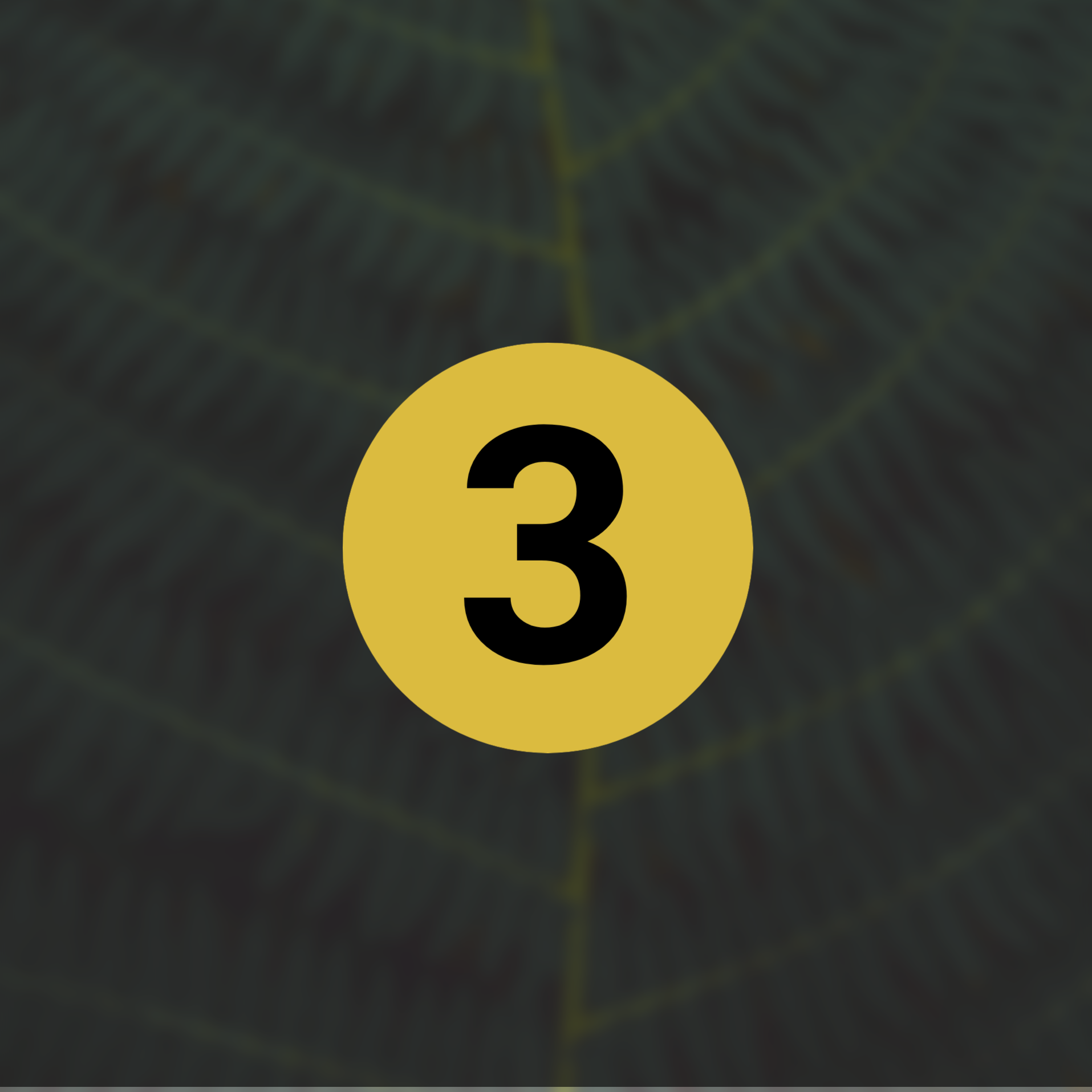 Сайт-приглашение на фестиваль трансформации