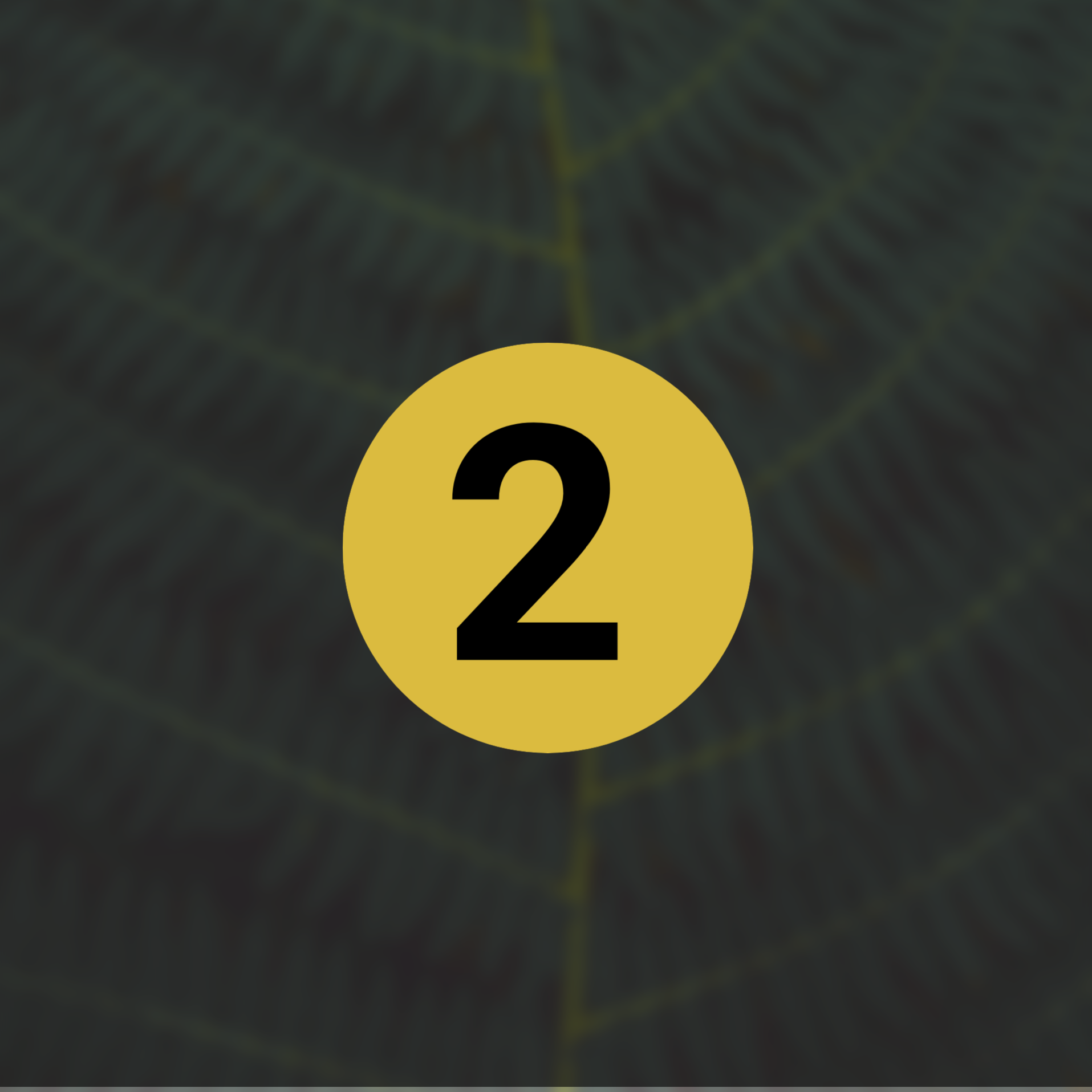 Сайт-приглашение на фестиваль трансформации