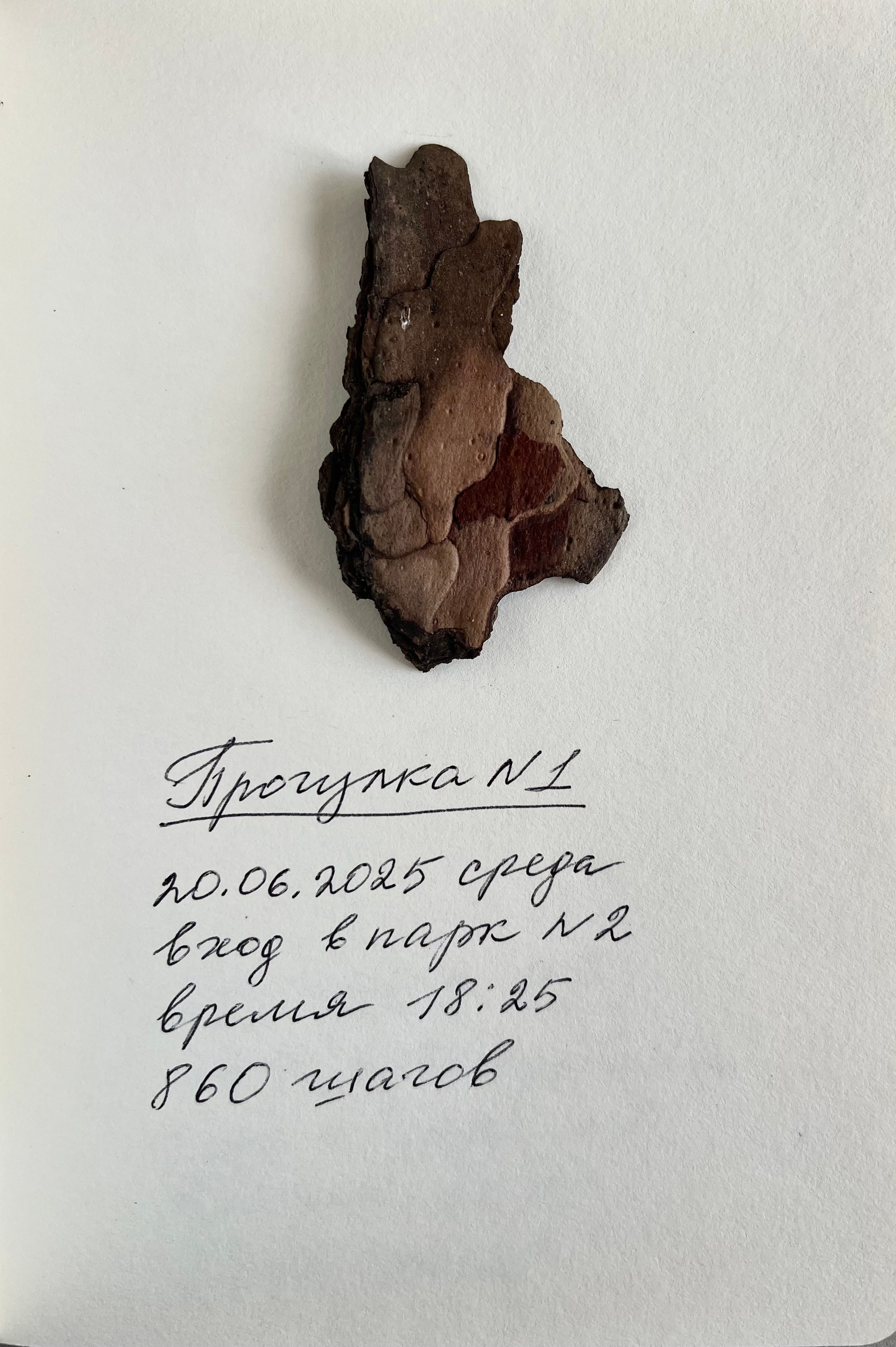 Анна Плотникова — Выйти из тени или личная археология