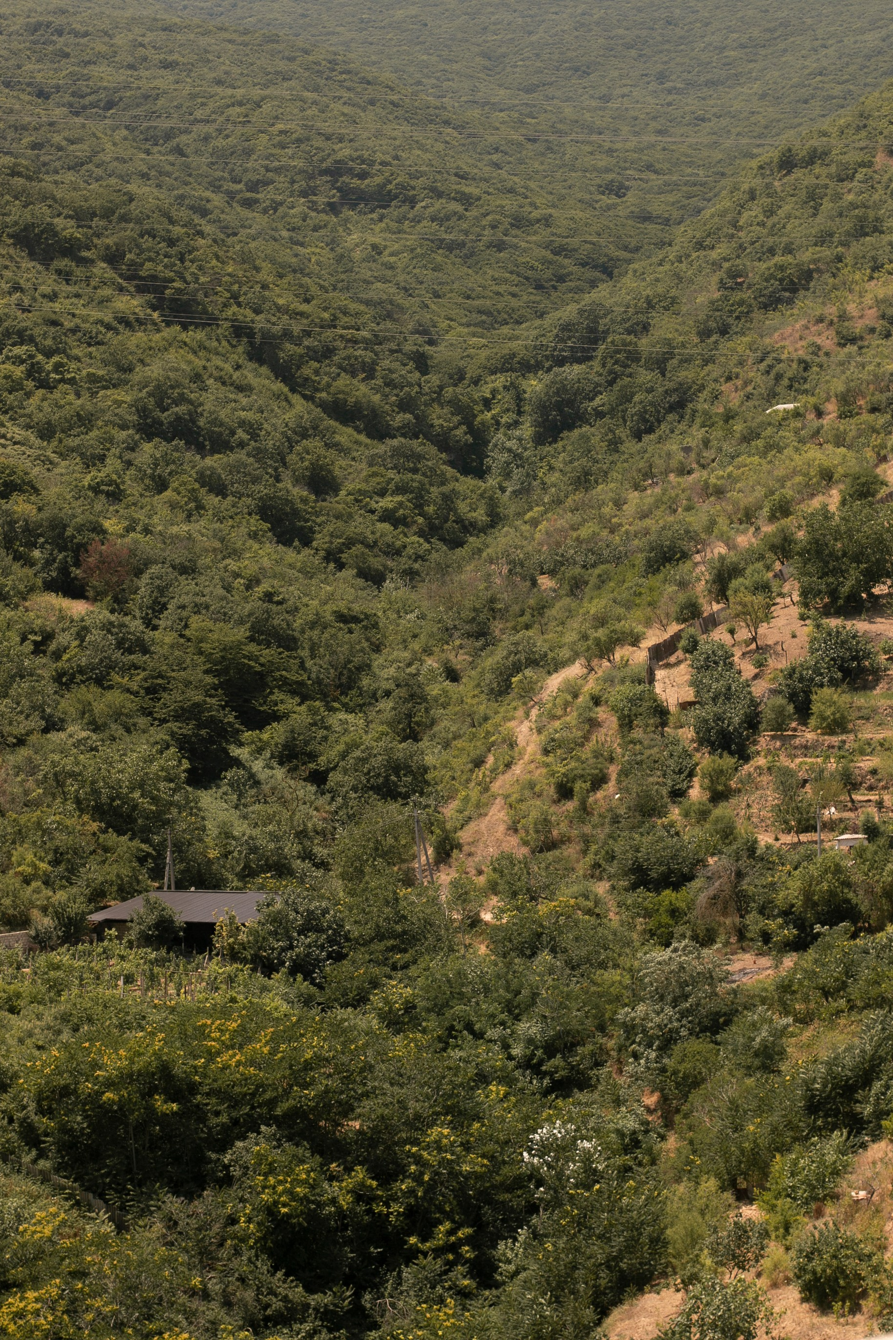 Замечаю жизнь. 2022. Фотограф Злата Спицына