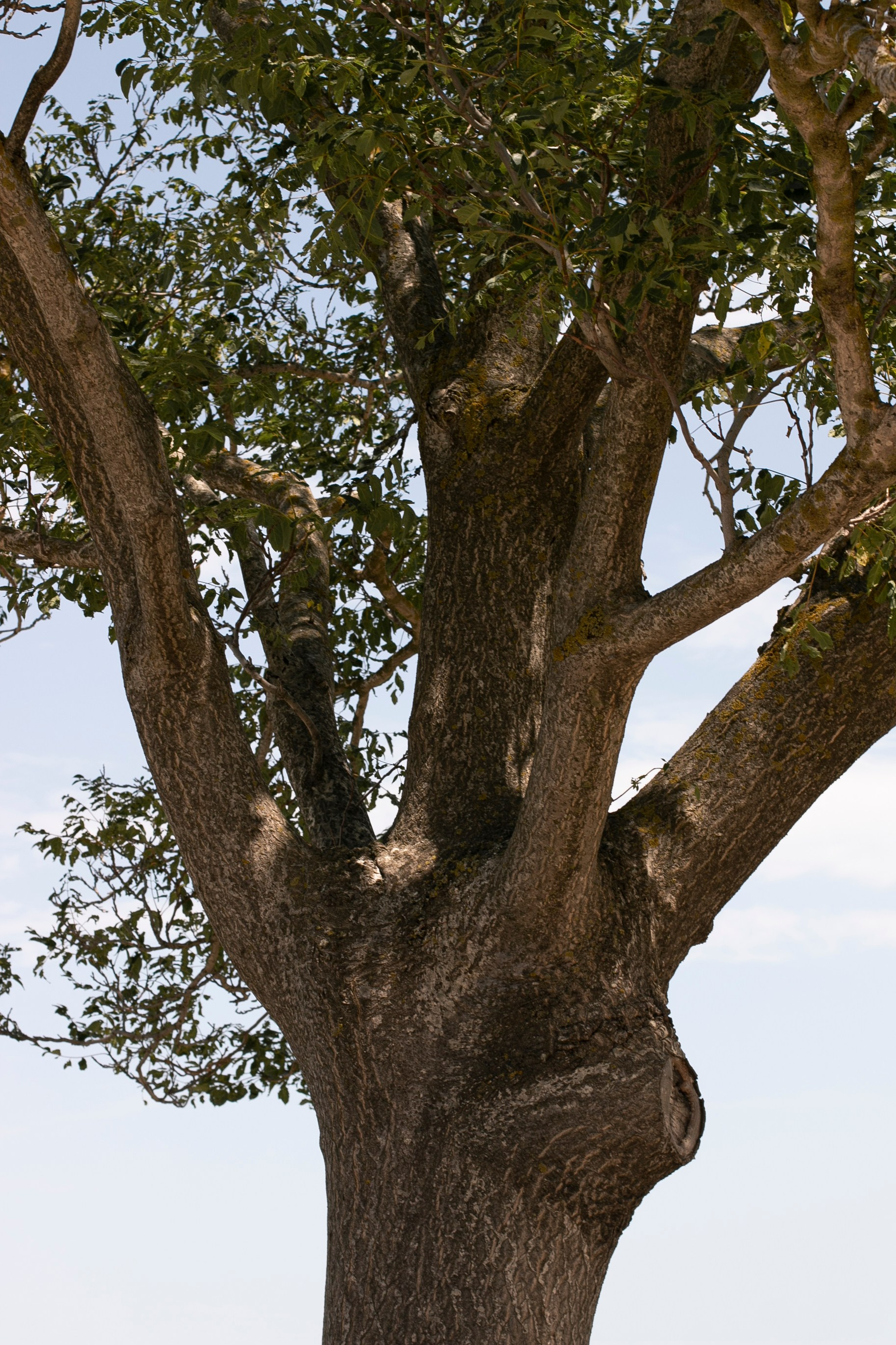 Замечаю жизнь. 2022. Фотограф Злата Спицына