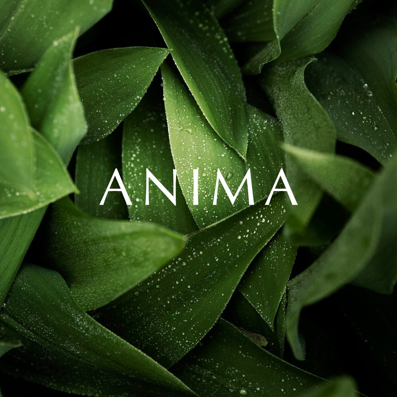 Семейный психолог, психолог-сексолог, Анна Тулупова