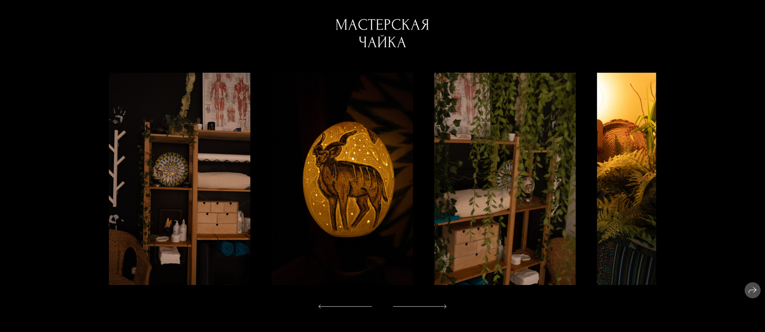 Бамбук кейс