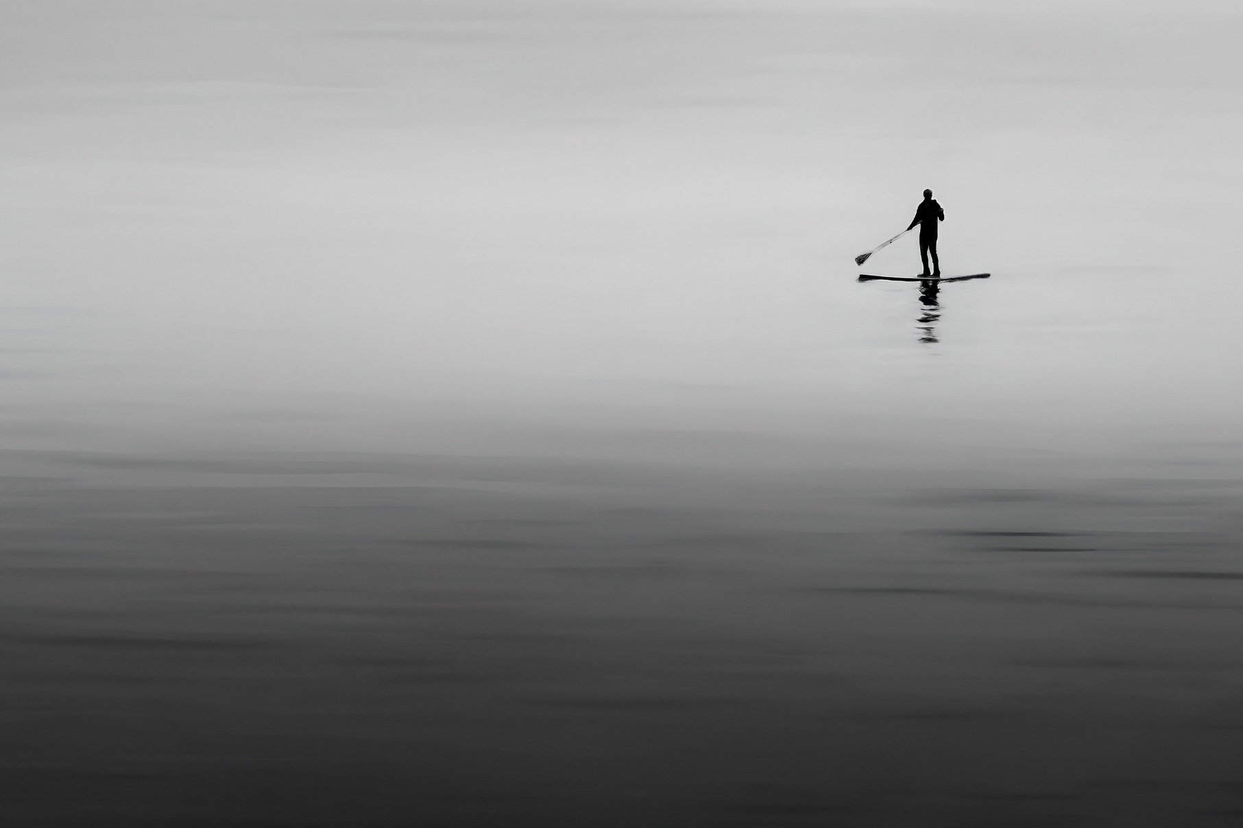 Купить картину на стену в подарок