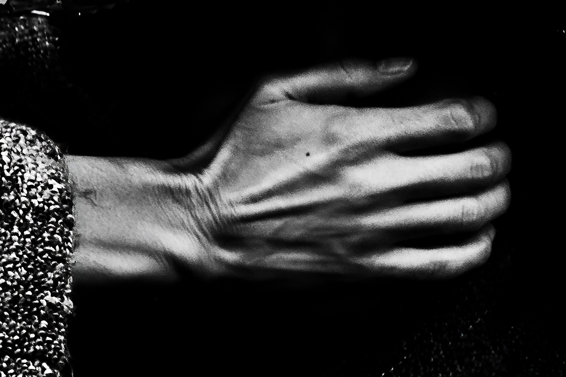 Купить картину на стену в подарок