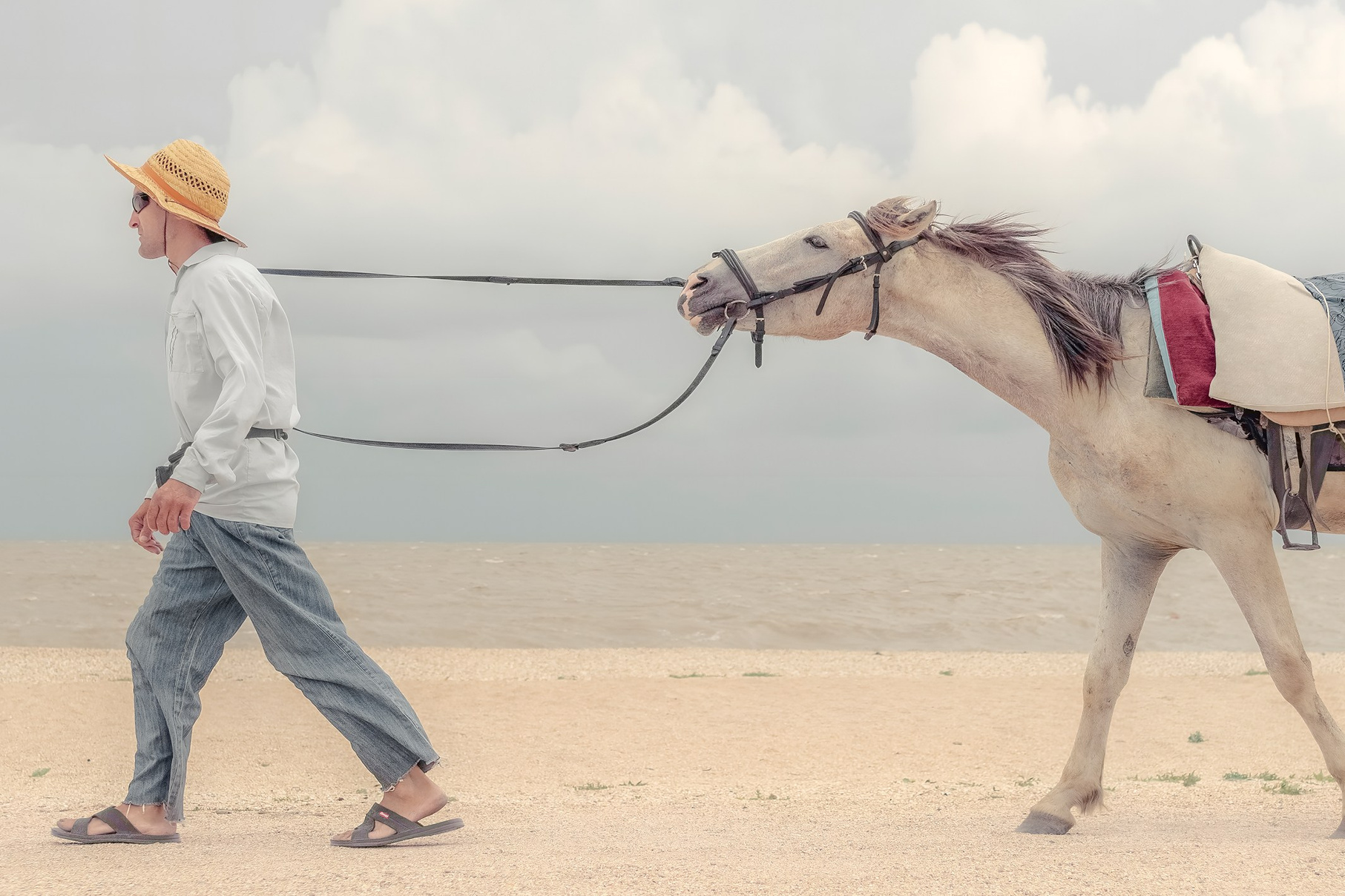 Купить картину на стену в подарок