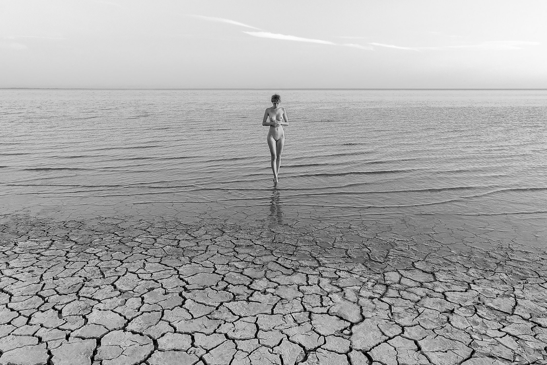 Купить картину на стену в подарок