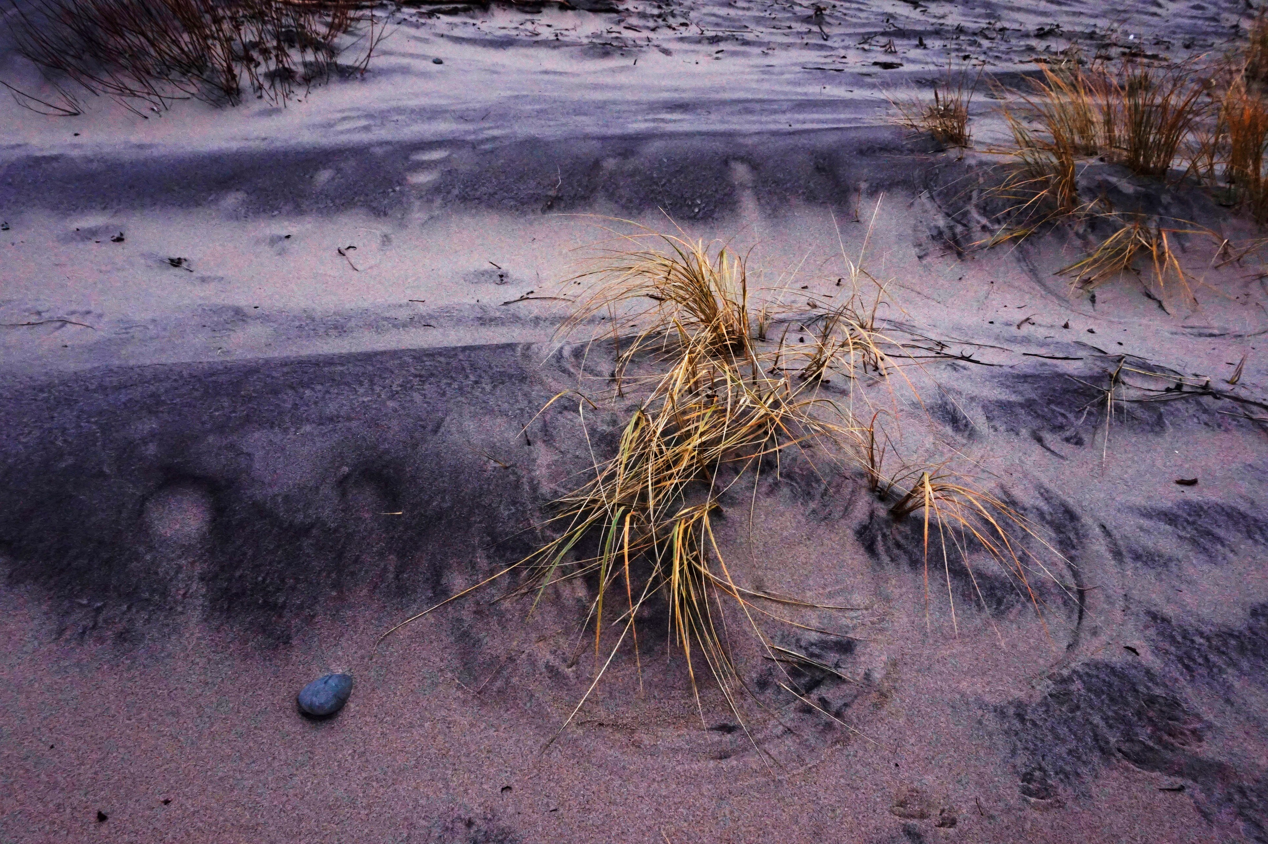 В поисках моря. Арт-фотография, терапевтическая фотография в Москве. Фотограф Анна Ермолова