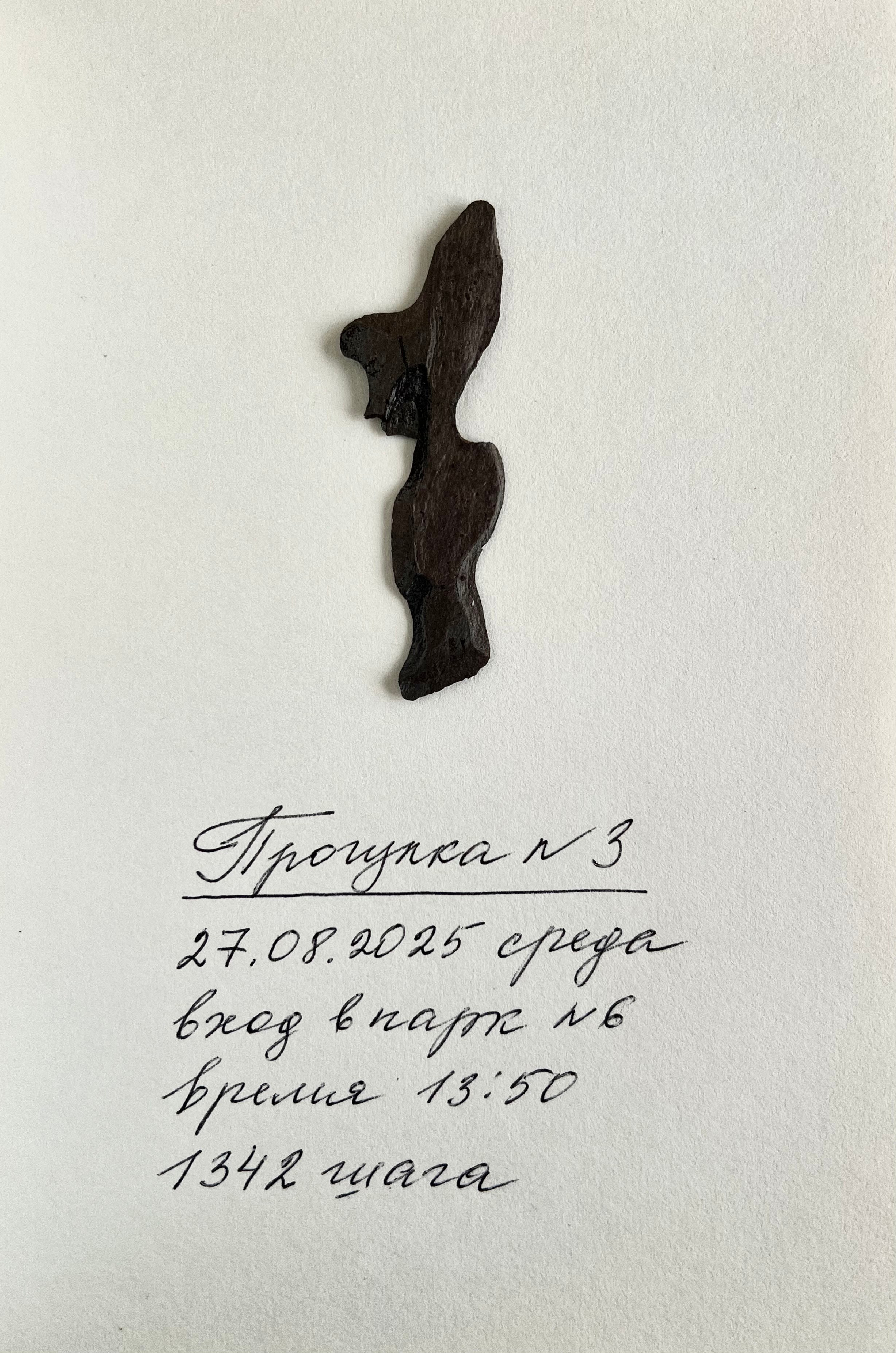 Анна Плотникова — Выйти из тени или личная археология