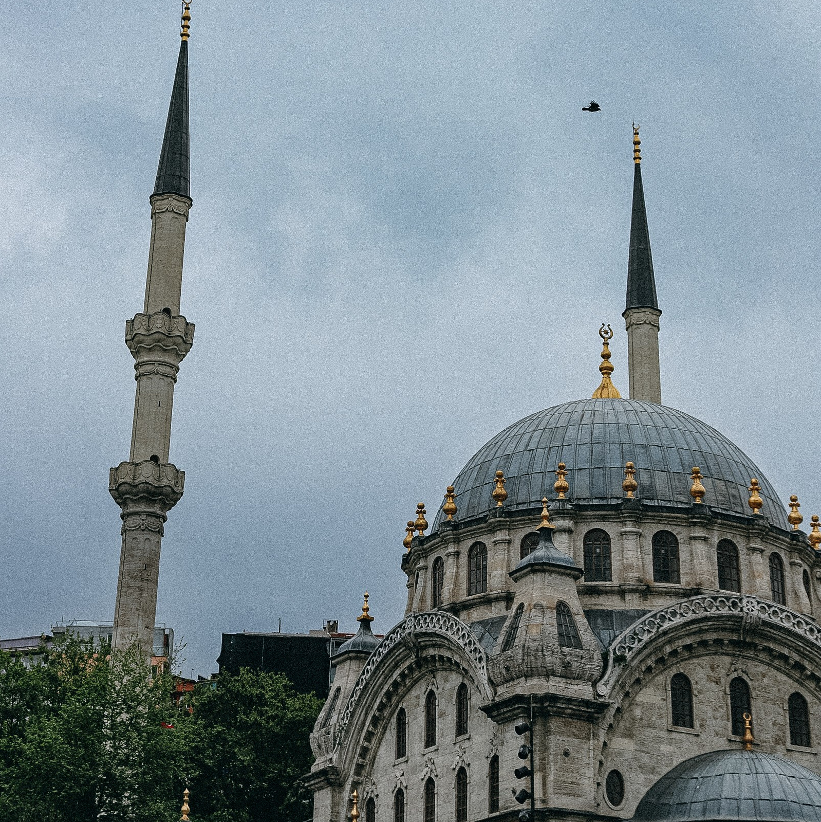 Интенсив по мобильной фотографии (1). Свадебный, семейный и портретный фотограф в Алматы, Костанай