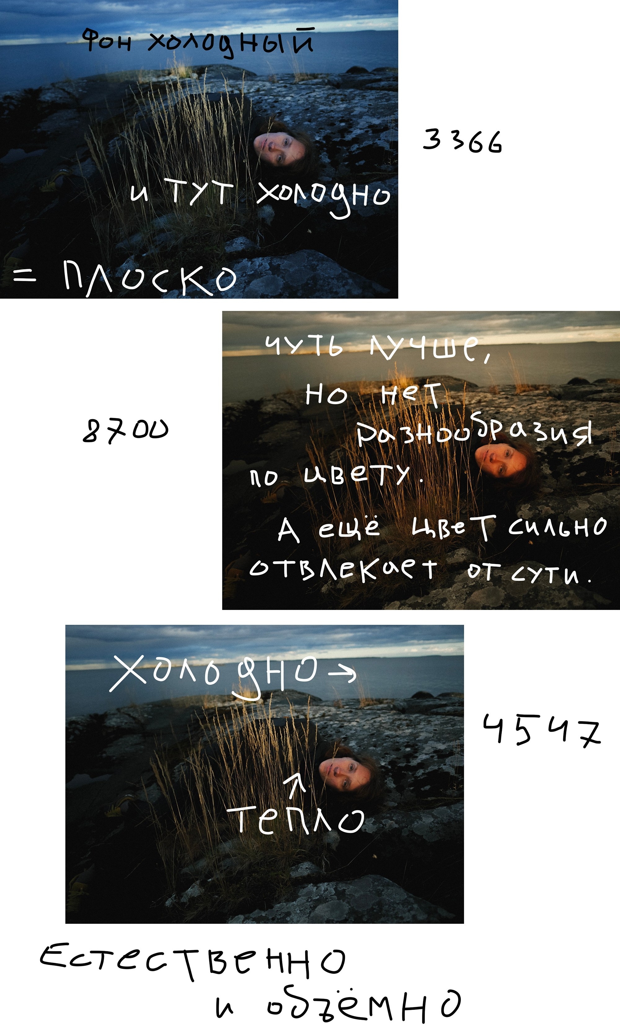Среда 3. Свет и цвет. …