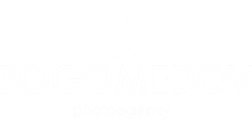 bogomedov-agency.ru