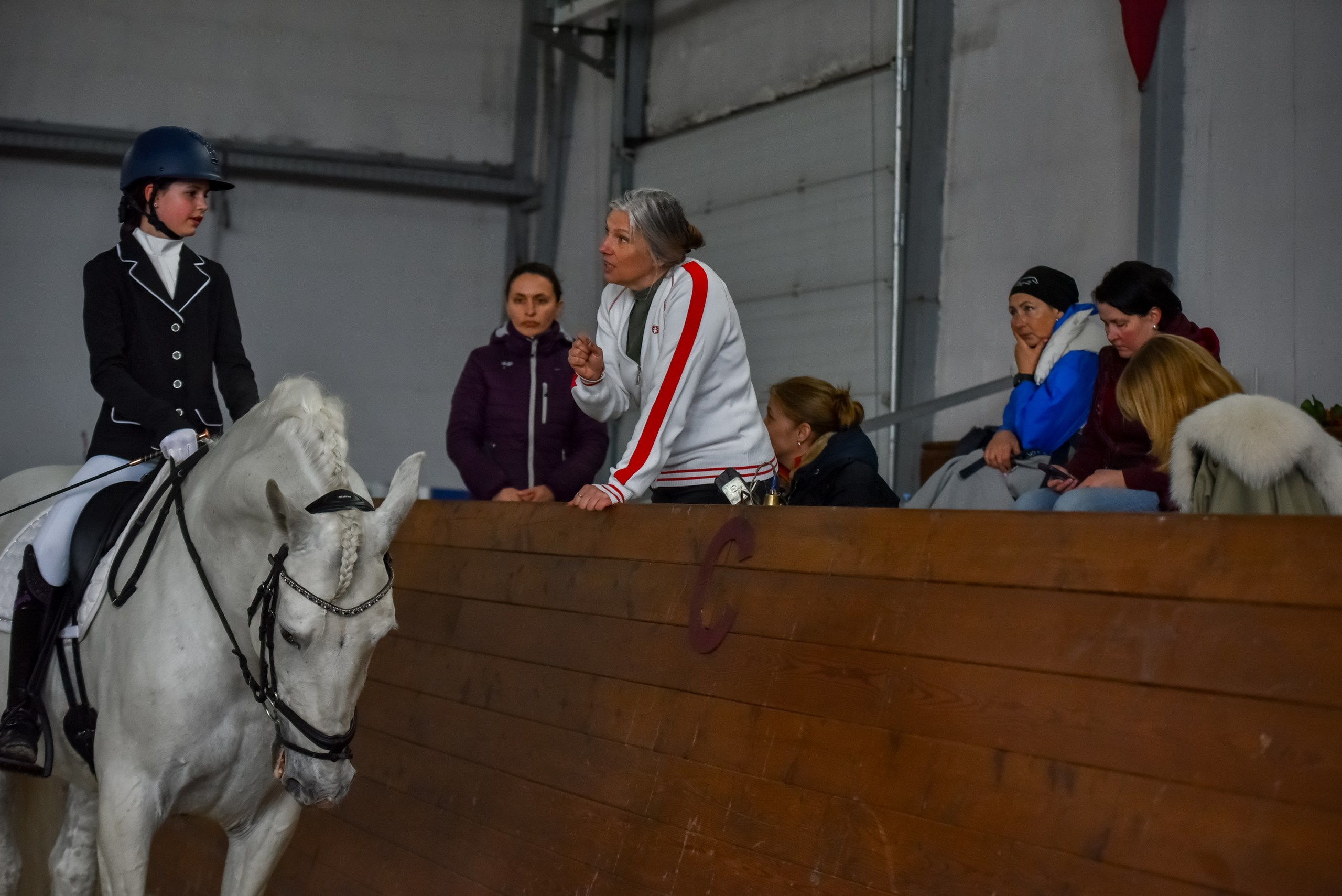 Founder. Liana Antanovich | Equestrian Strategies