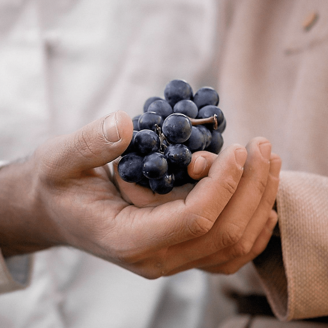 Грузия 2021. Семейный и детский фотограф в Москве