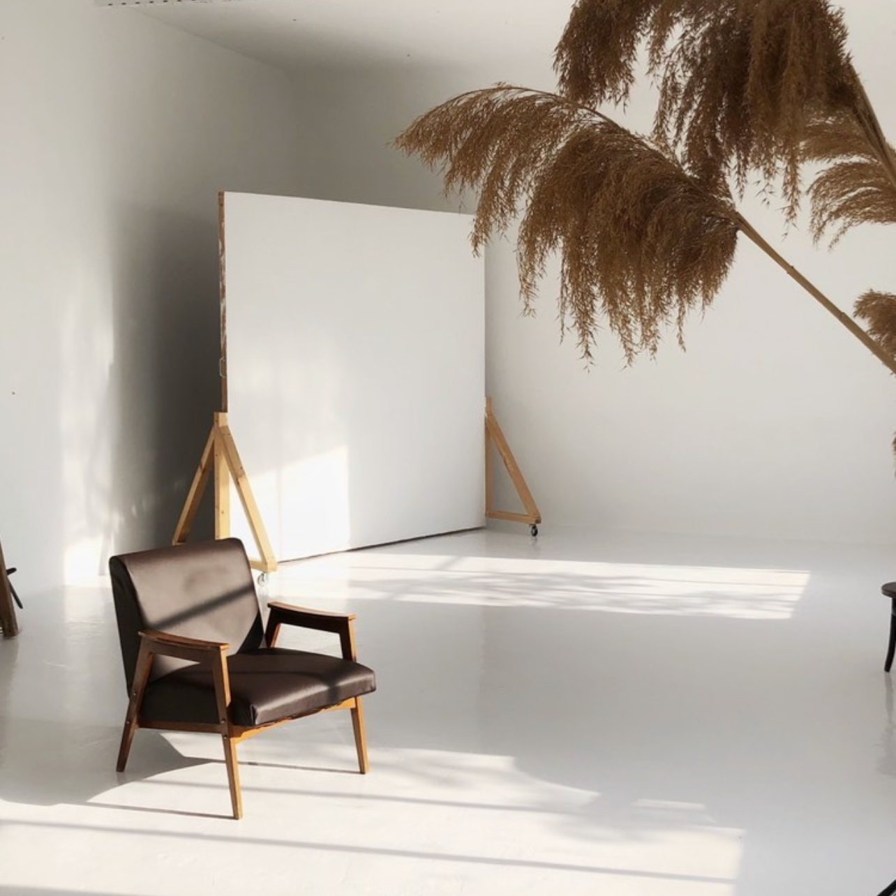 Фотостудии. Семейный, детский и свадебный фотограф