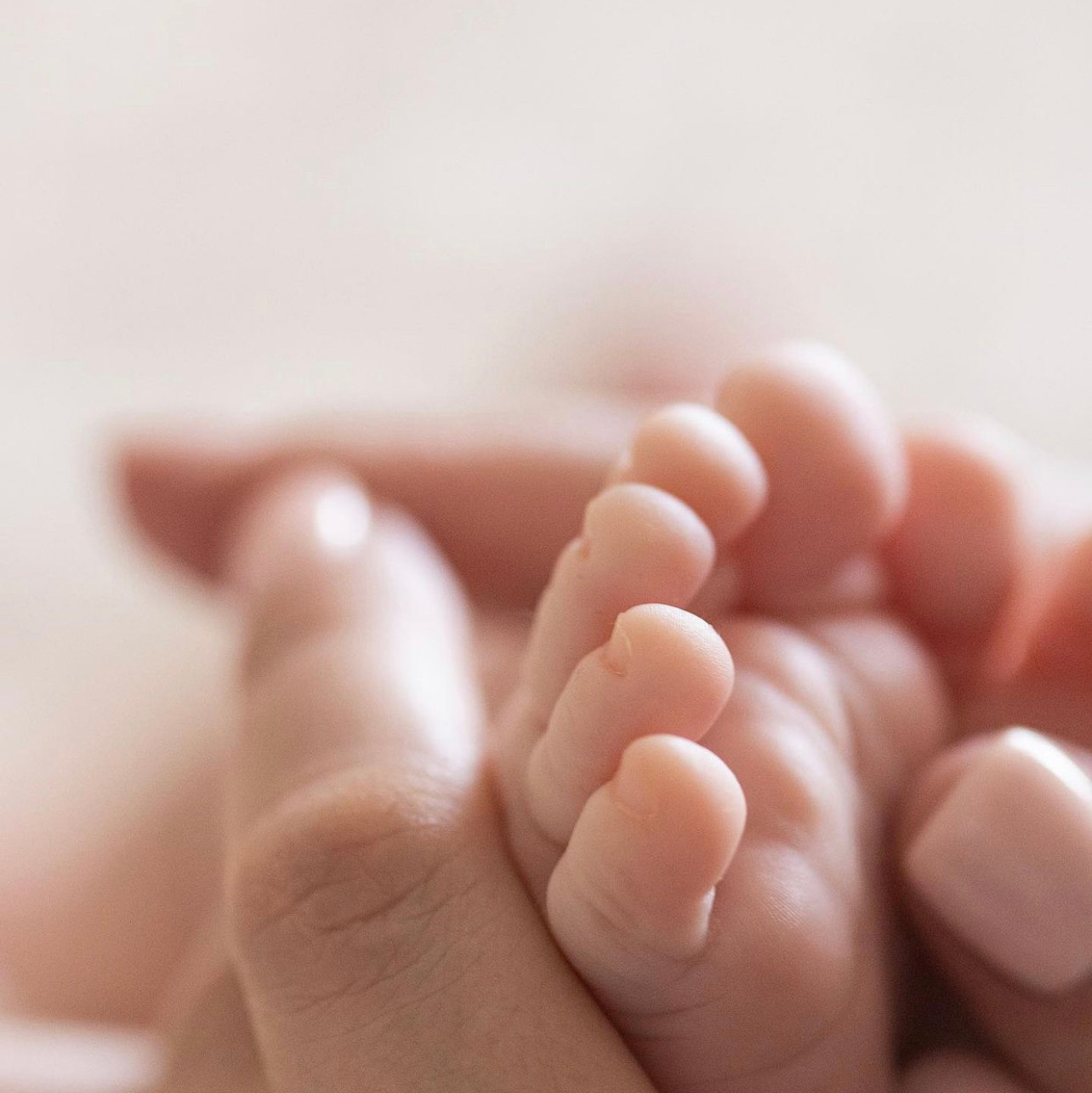 Мультиссылка. Женский и семейный фотограф Светлана