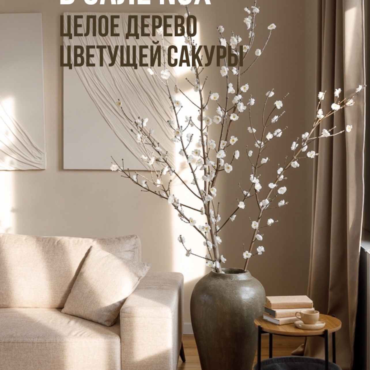 контентная фотосессия для экспертов, ведущих блог