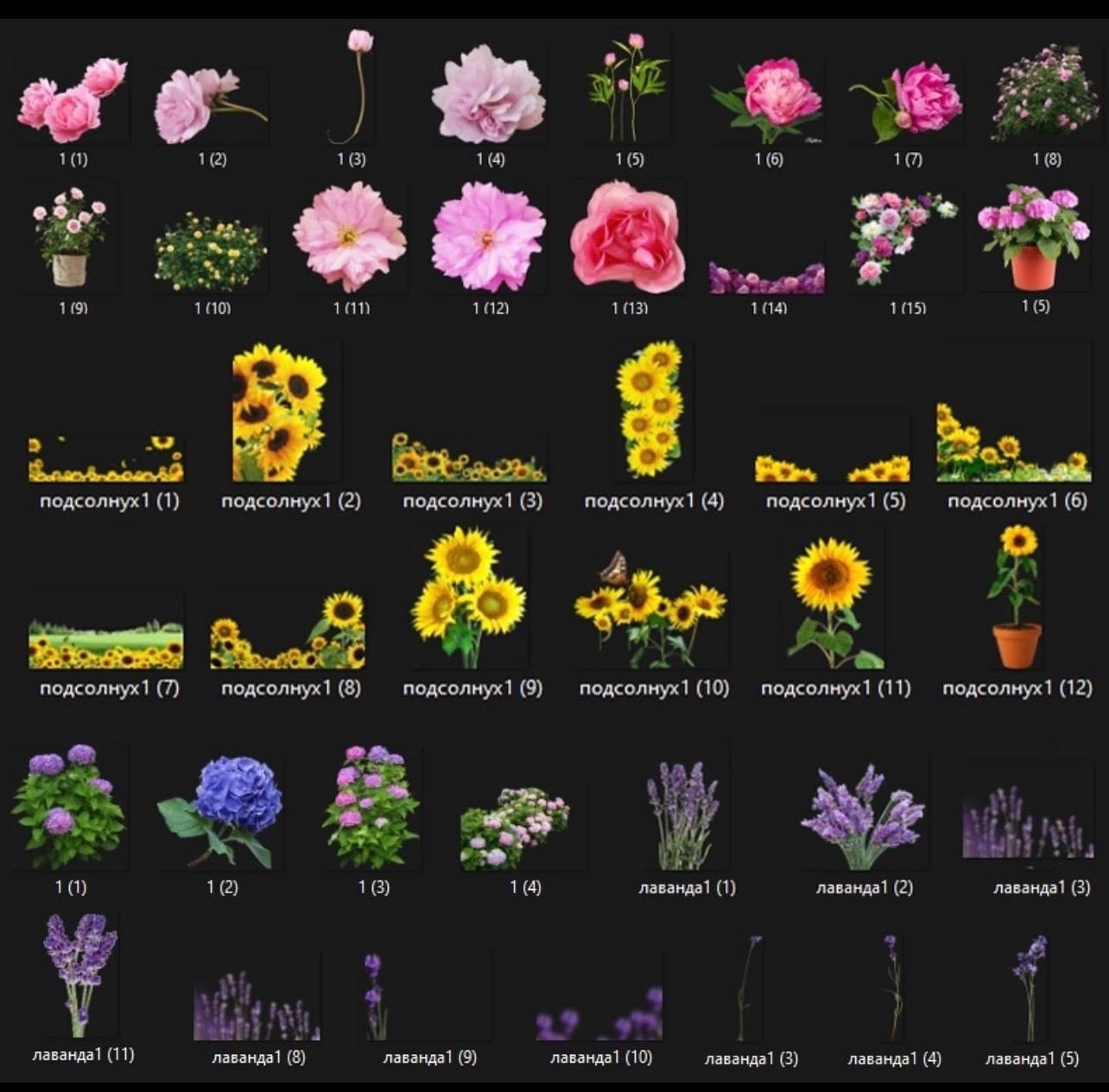 Сборник PNG картинок для весенних и летних коллажей. Фотохудожник Анна Гис