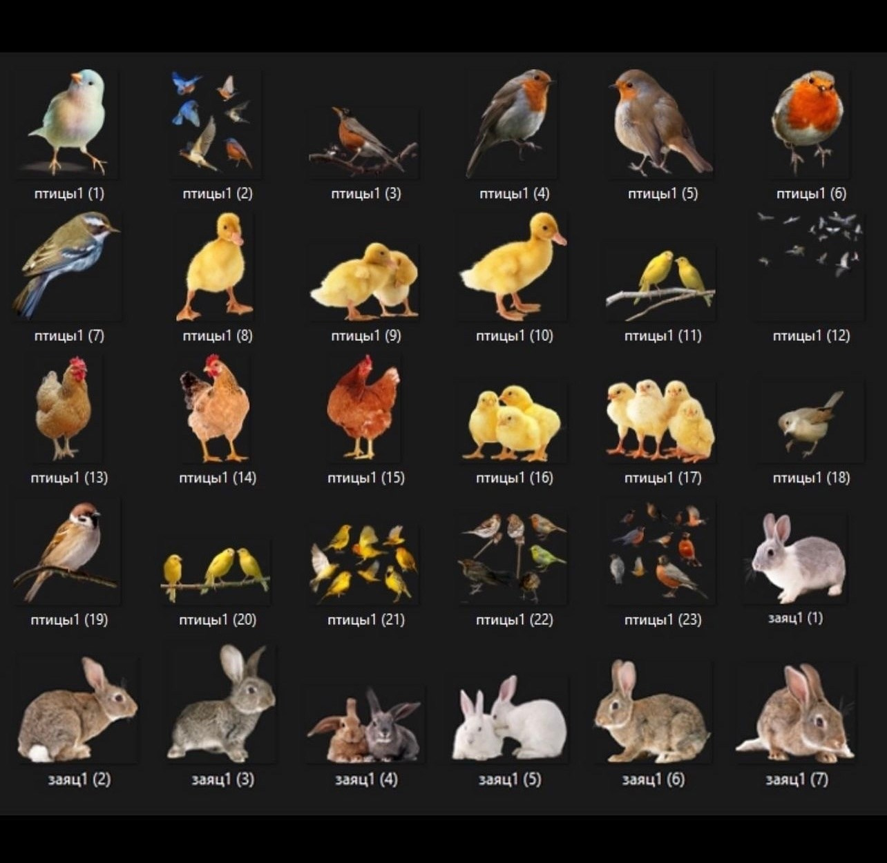 Сборник PNG картинок для весенних и летних коллажей. Фотохудожник Анна Гис