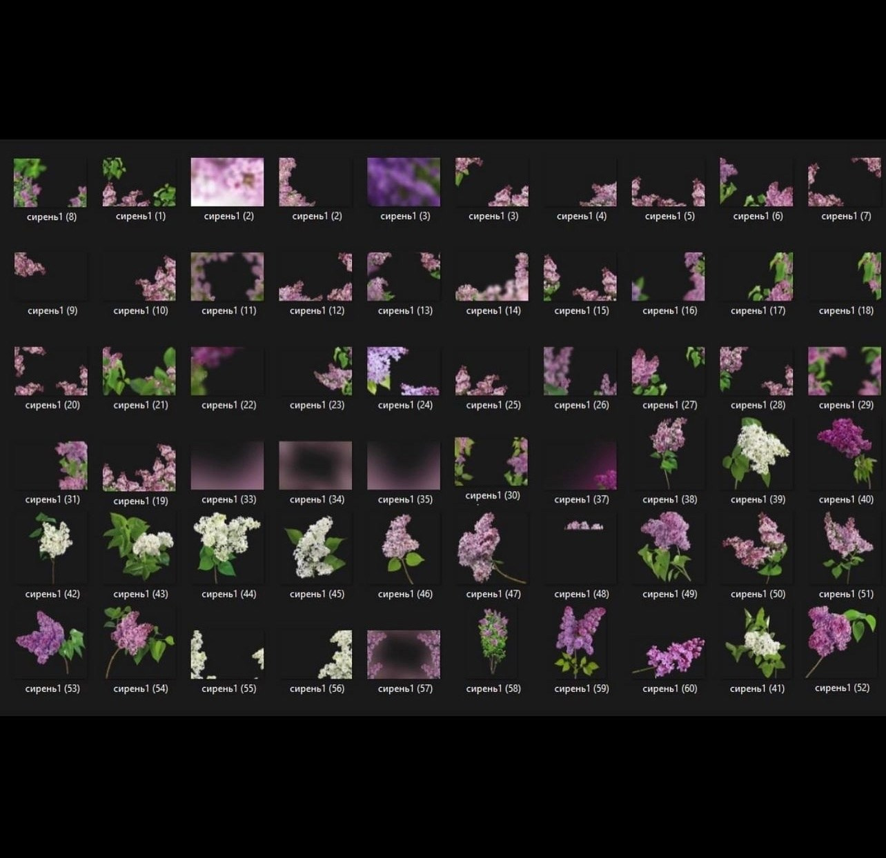 Сборник PNG картинок для весенних и летних коллажей. Фотохудожник Анна Гис