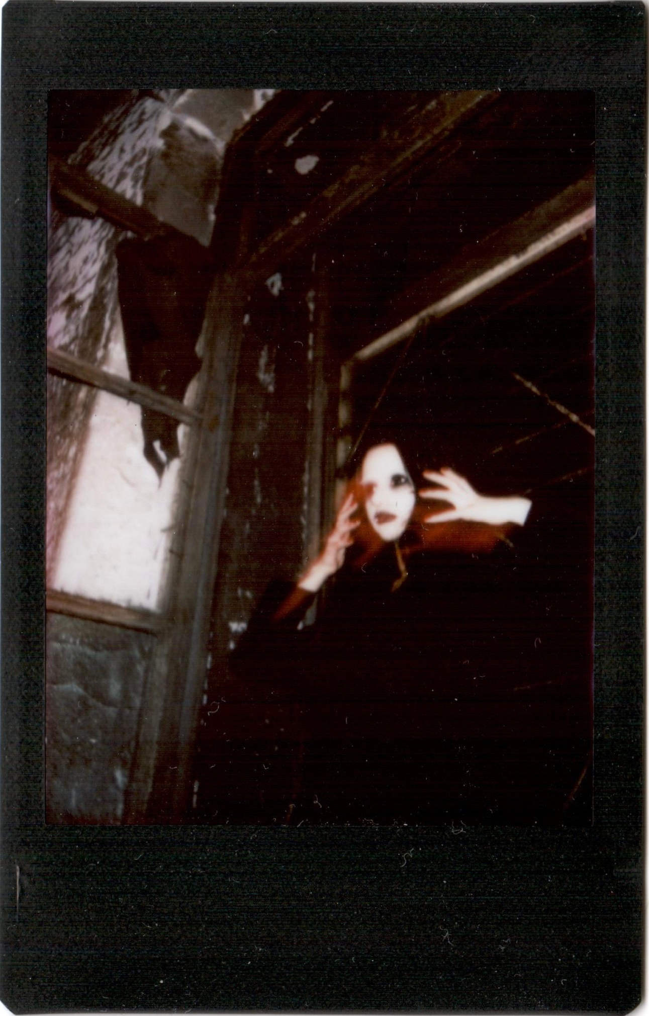 PHOTOS. DARYA MAKHROVA