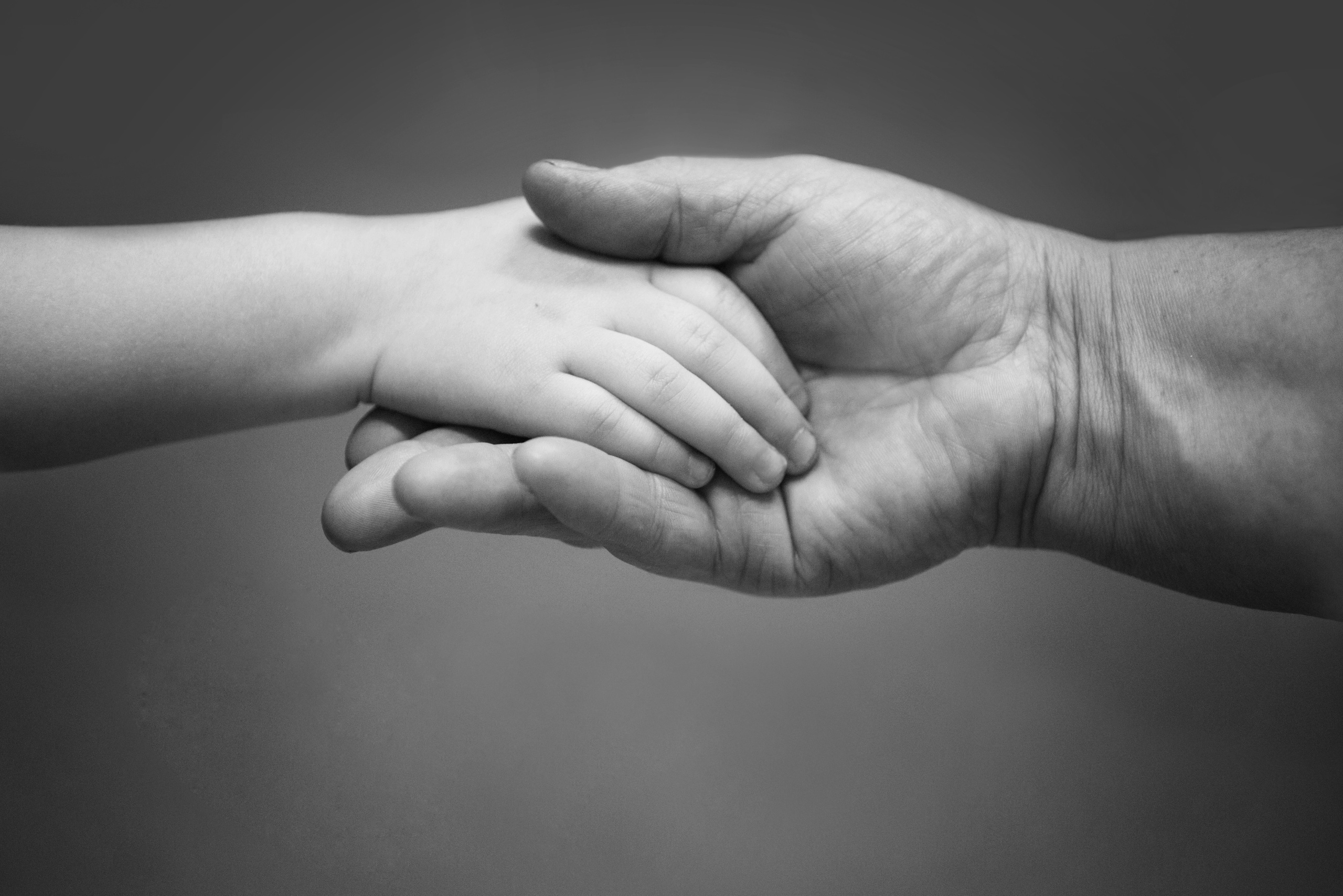 Ваш фотограф АННА ШЕВЧЕНКО