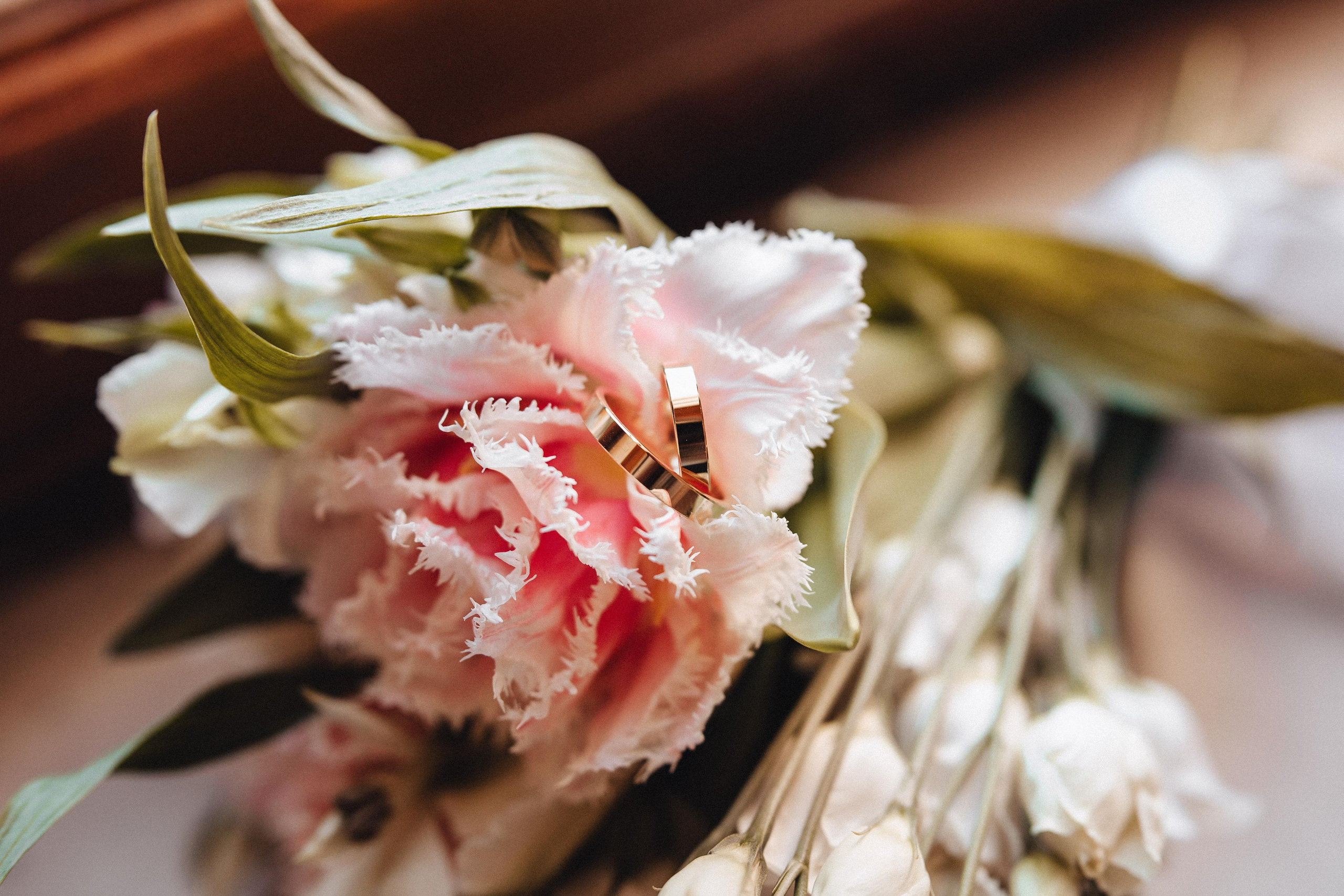 Семейный и портретный фотограф в Санкт-Петербурге Андреева Татьяна