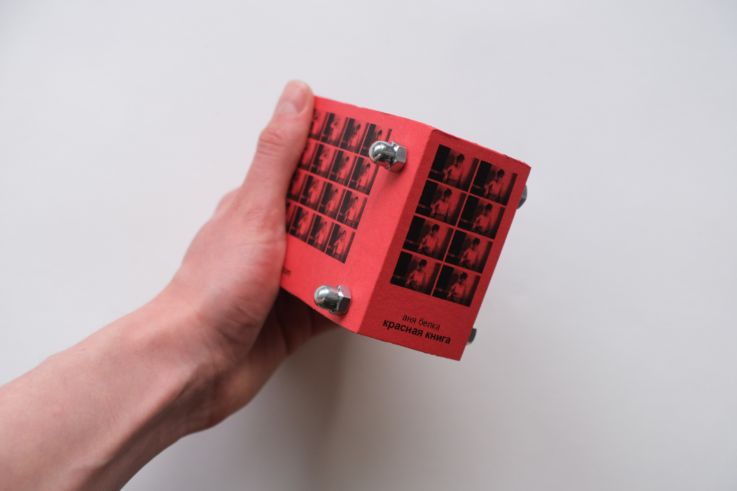 Белочка [видео/книга]. Аня белка — художница и фотограф