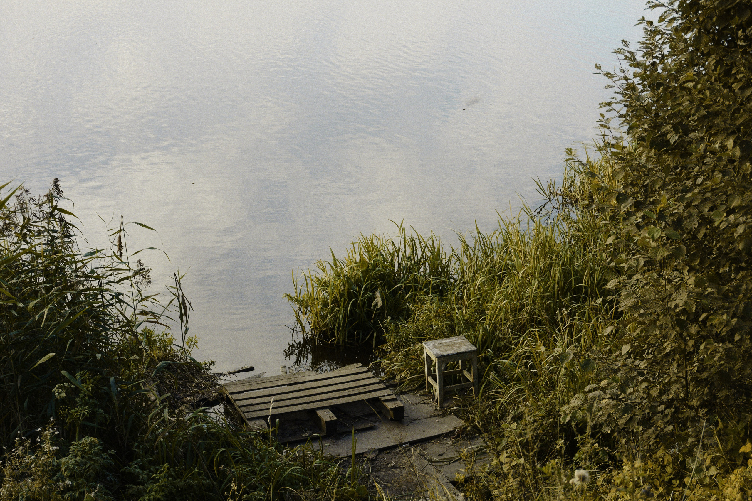 Проект — ТРОПЫ