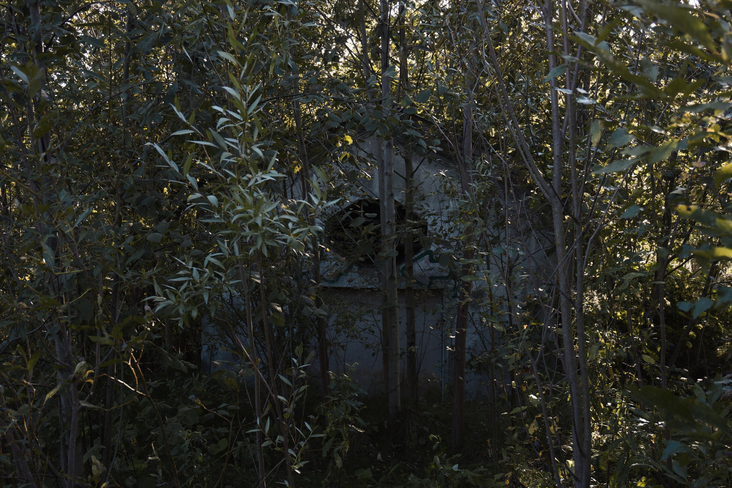 Проект — ТРОПЫ