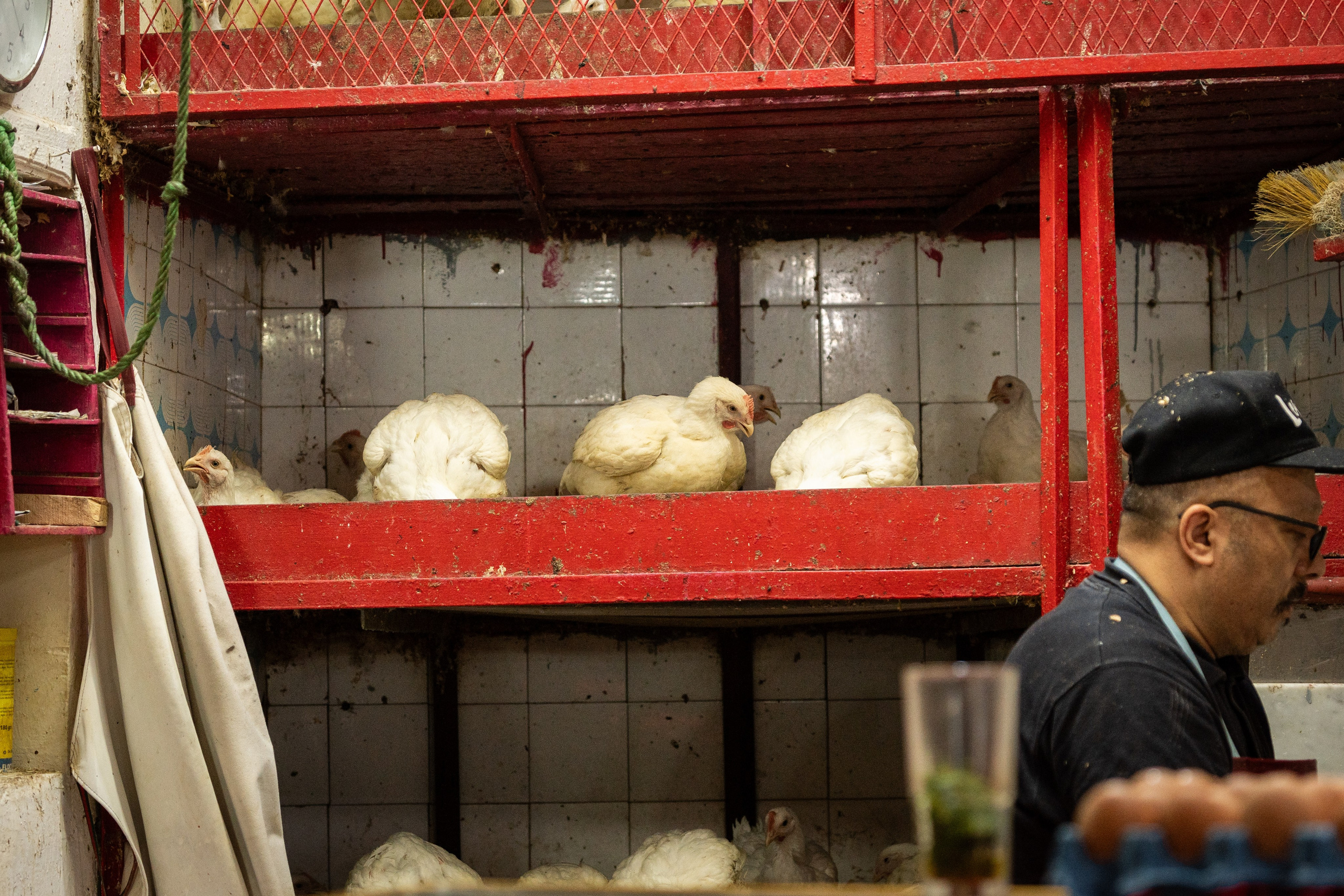 Марокко. Илья Варин — Фотограф Москва, Тверь