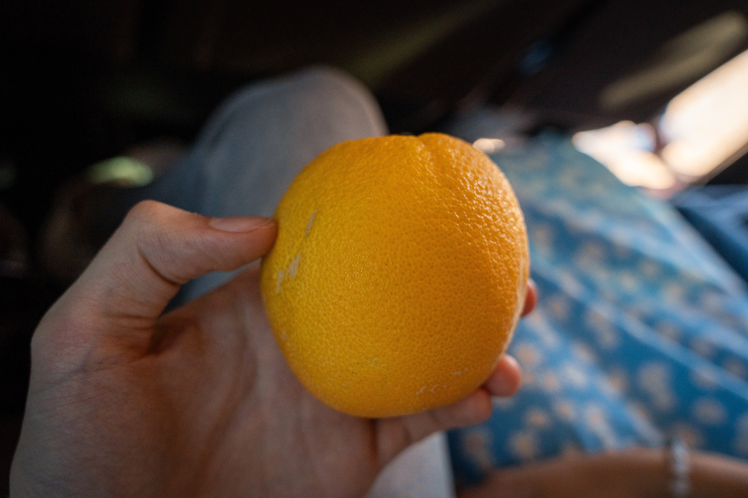 Марокко. Илья Варин — Фотограф Москва, Тверь