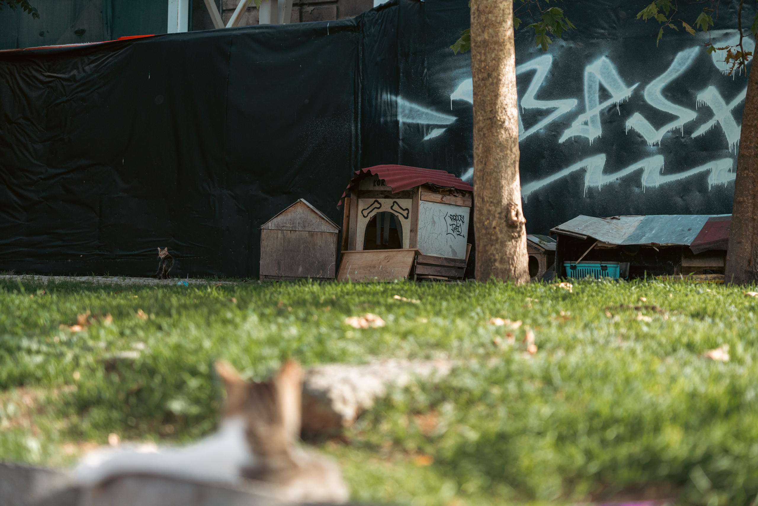 Турция — Стамбул. Илья Варин — Фотограф Москва, Тверь