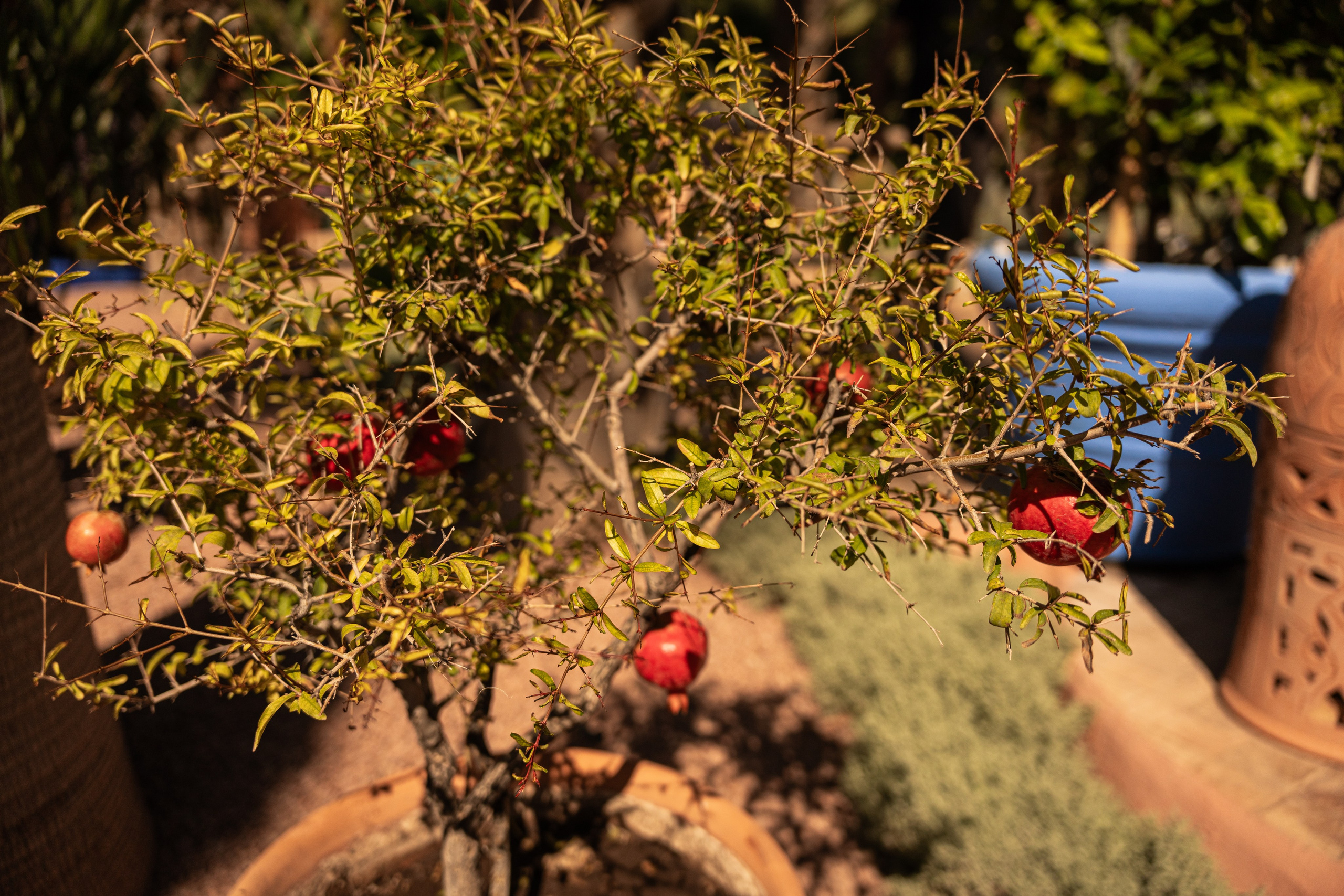 Марокко. Илья Варин — Фотограф Москва, Тверь