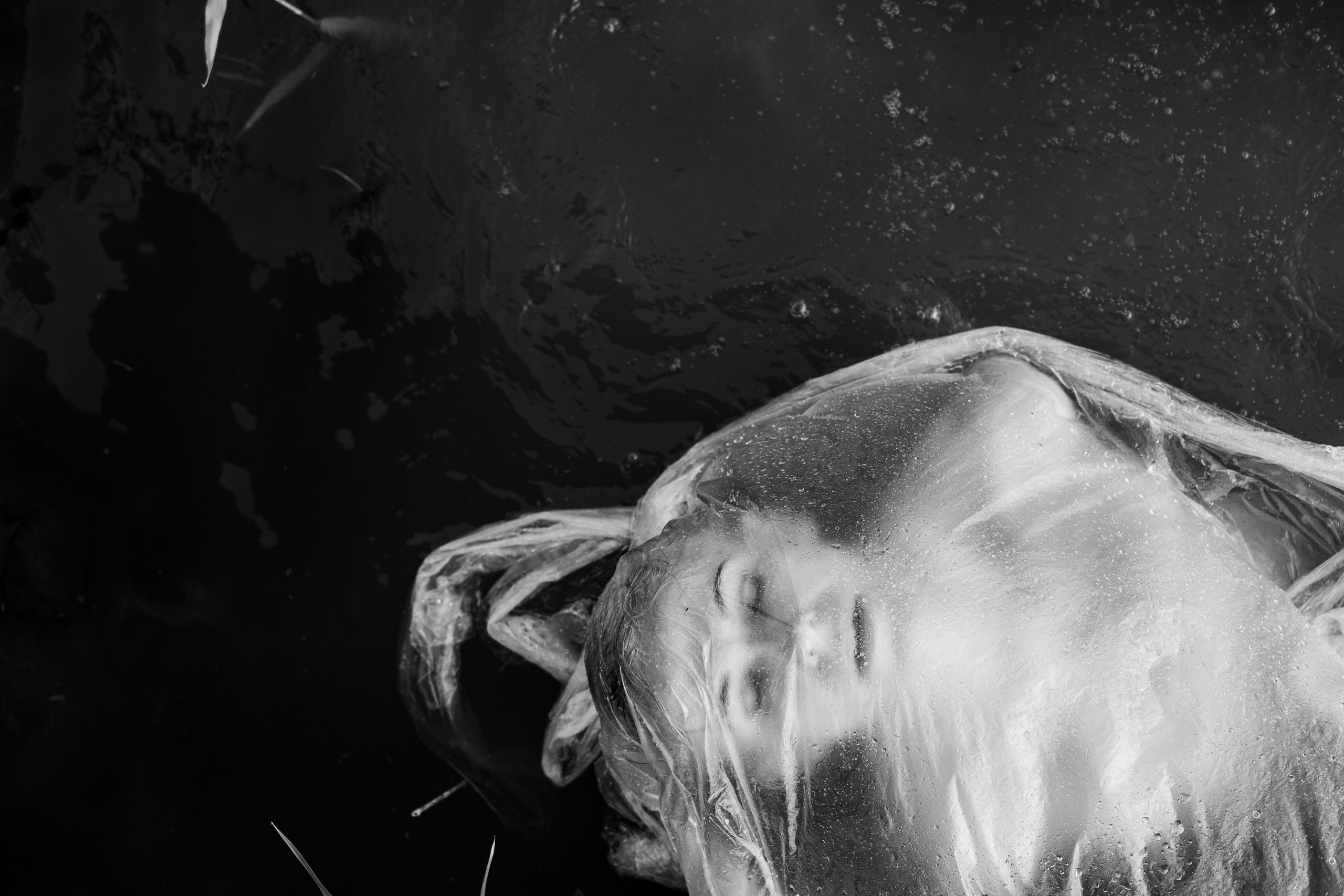 Белый Ветер «Выживут только Художники». Екатерина Дымова. Фотограф. Автор проекта «Белый Ветер»