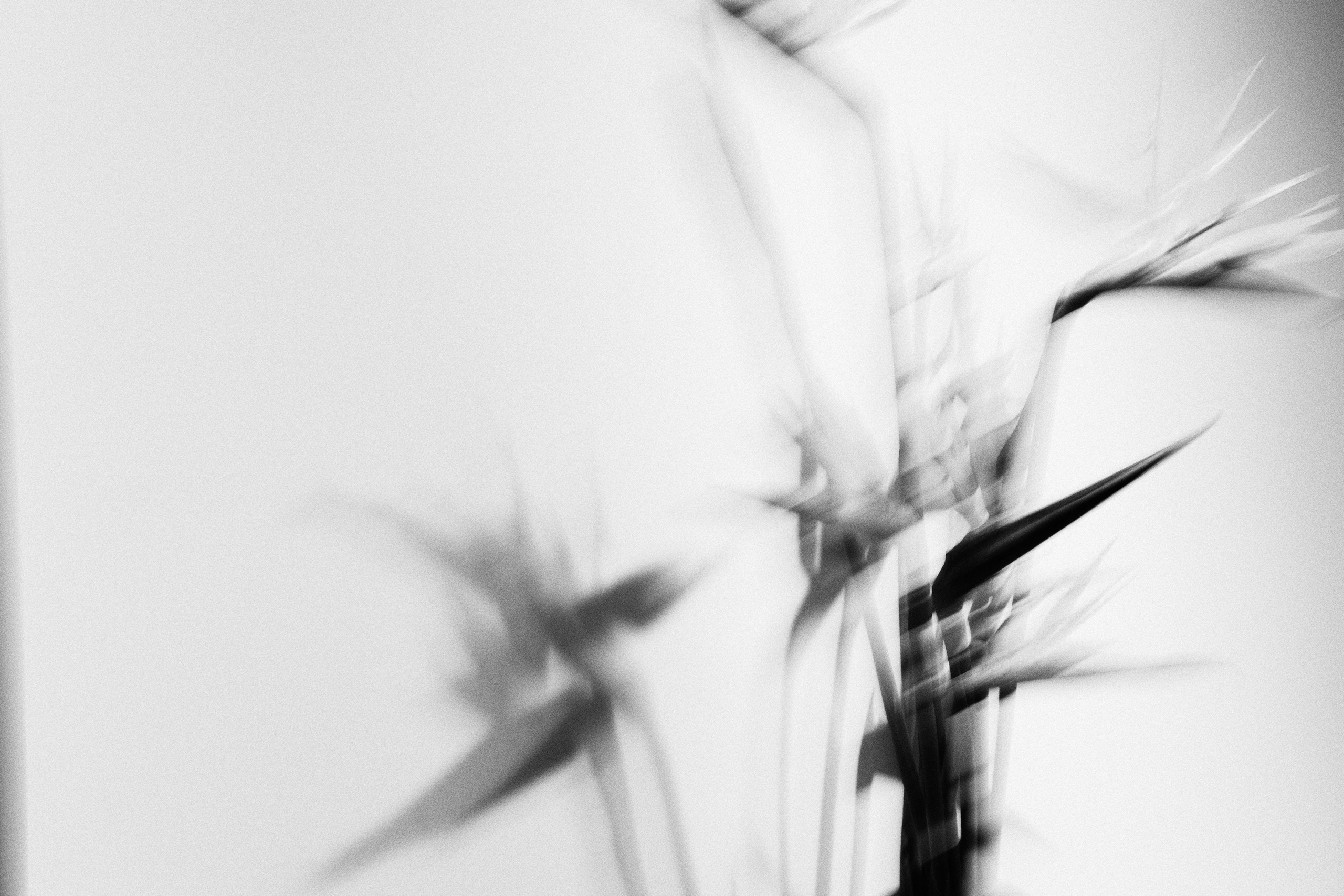 Услуги. Главная