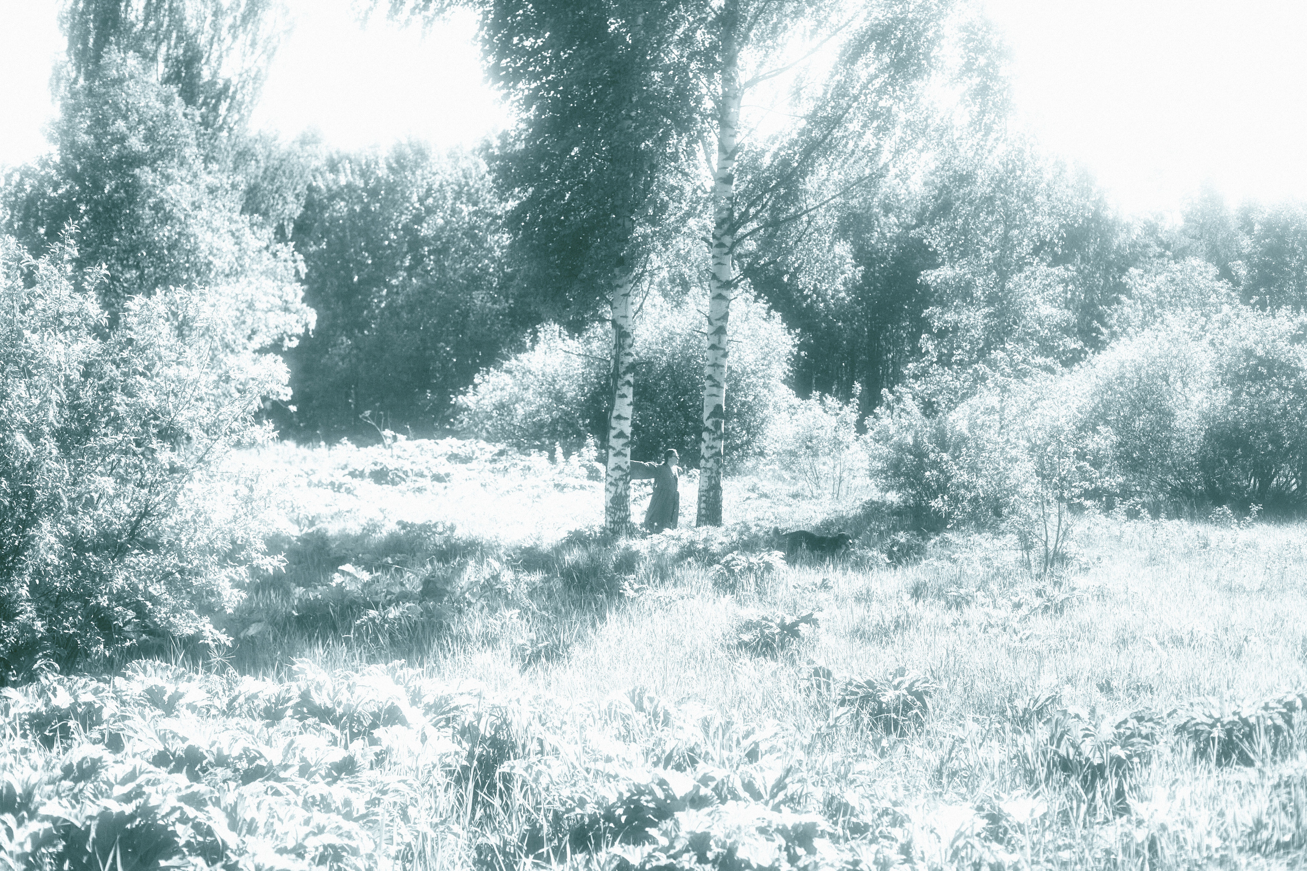 Женское платье с запахом. Одежда из Санкт-Петербурга СИНИОКО