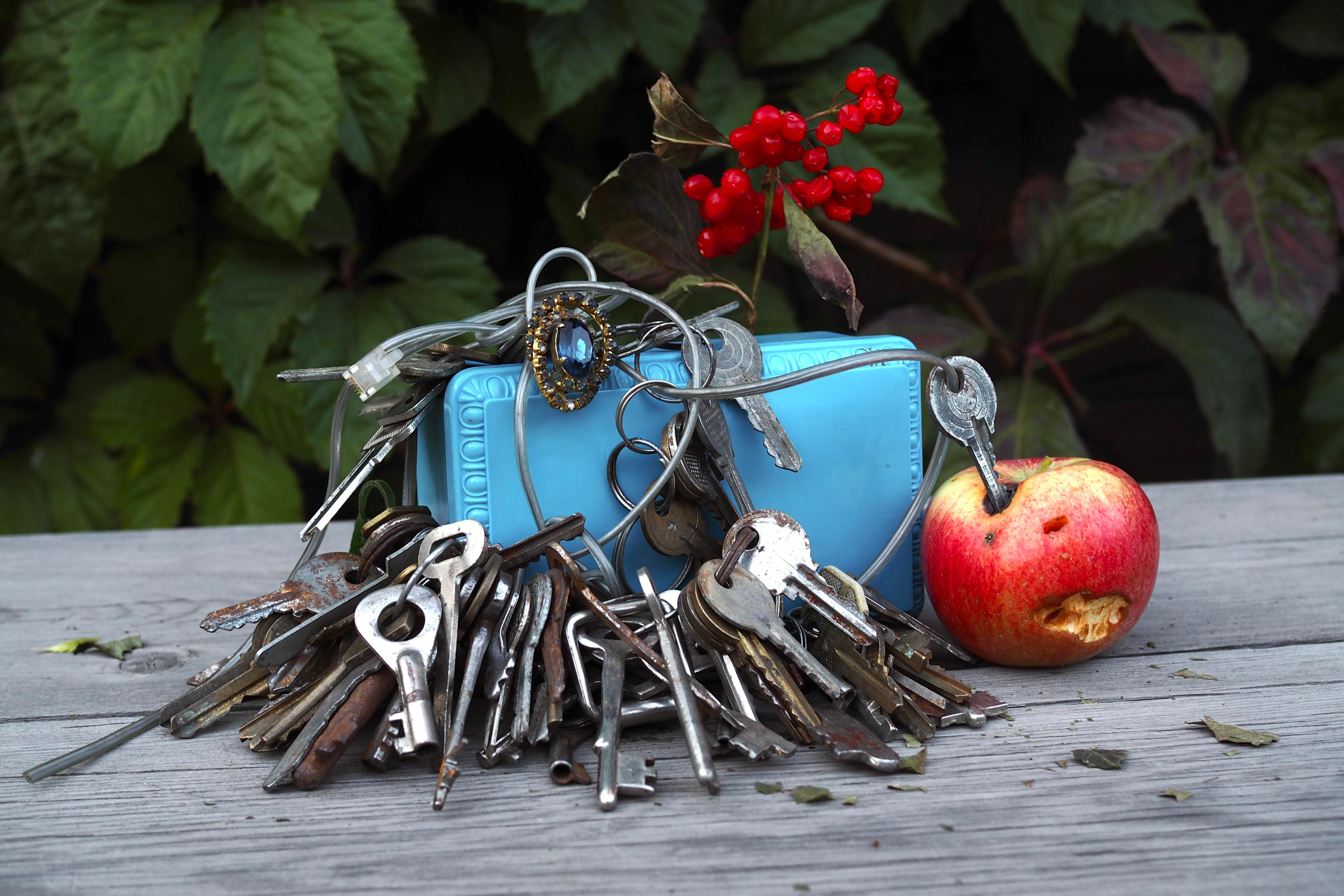 Still life photography. Visual artist Irina Heinz