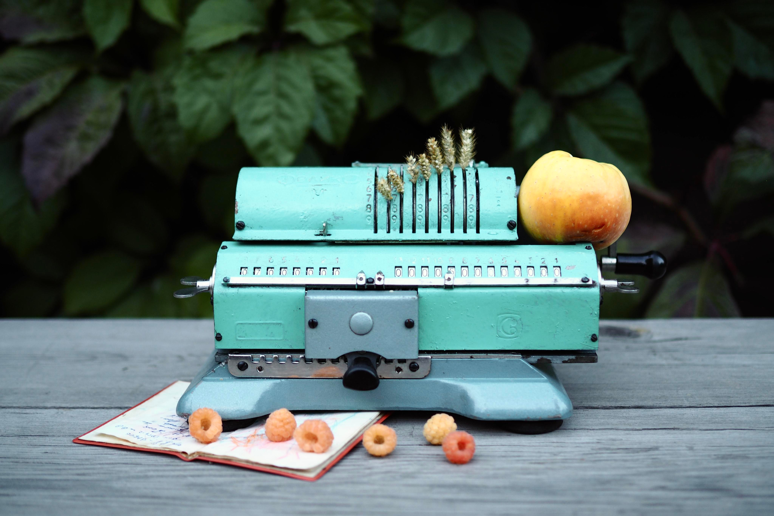 Still life photography. Visual artist Irina Heinz