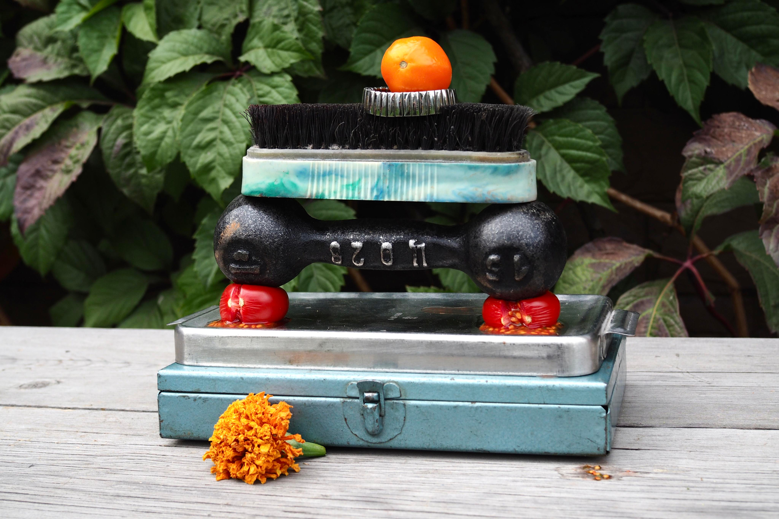 Still life photography. Visual artist Irina Heinz