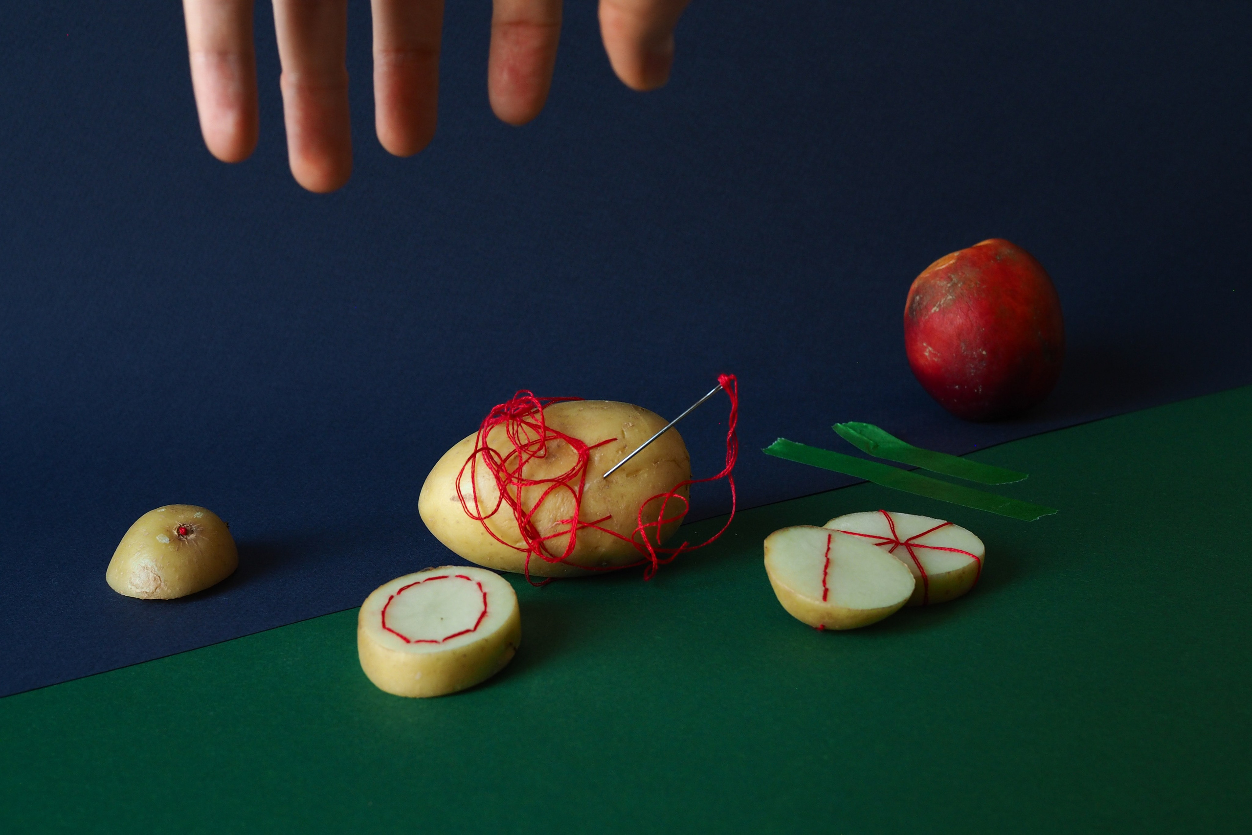 Still life photography. Visual artist Irina Heinz