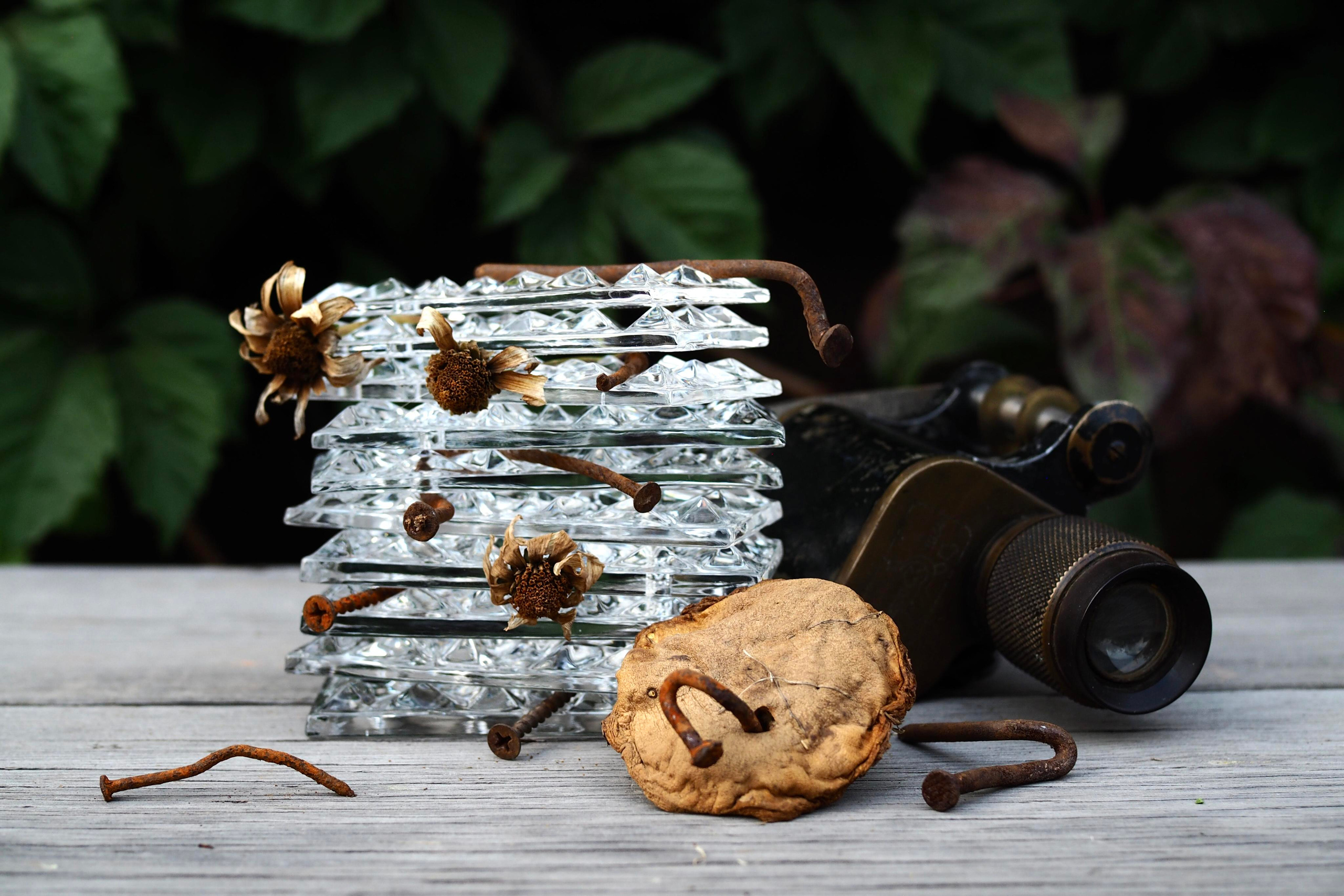 Still life photography. Visual artist Irina Heinz