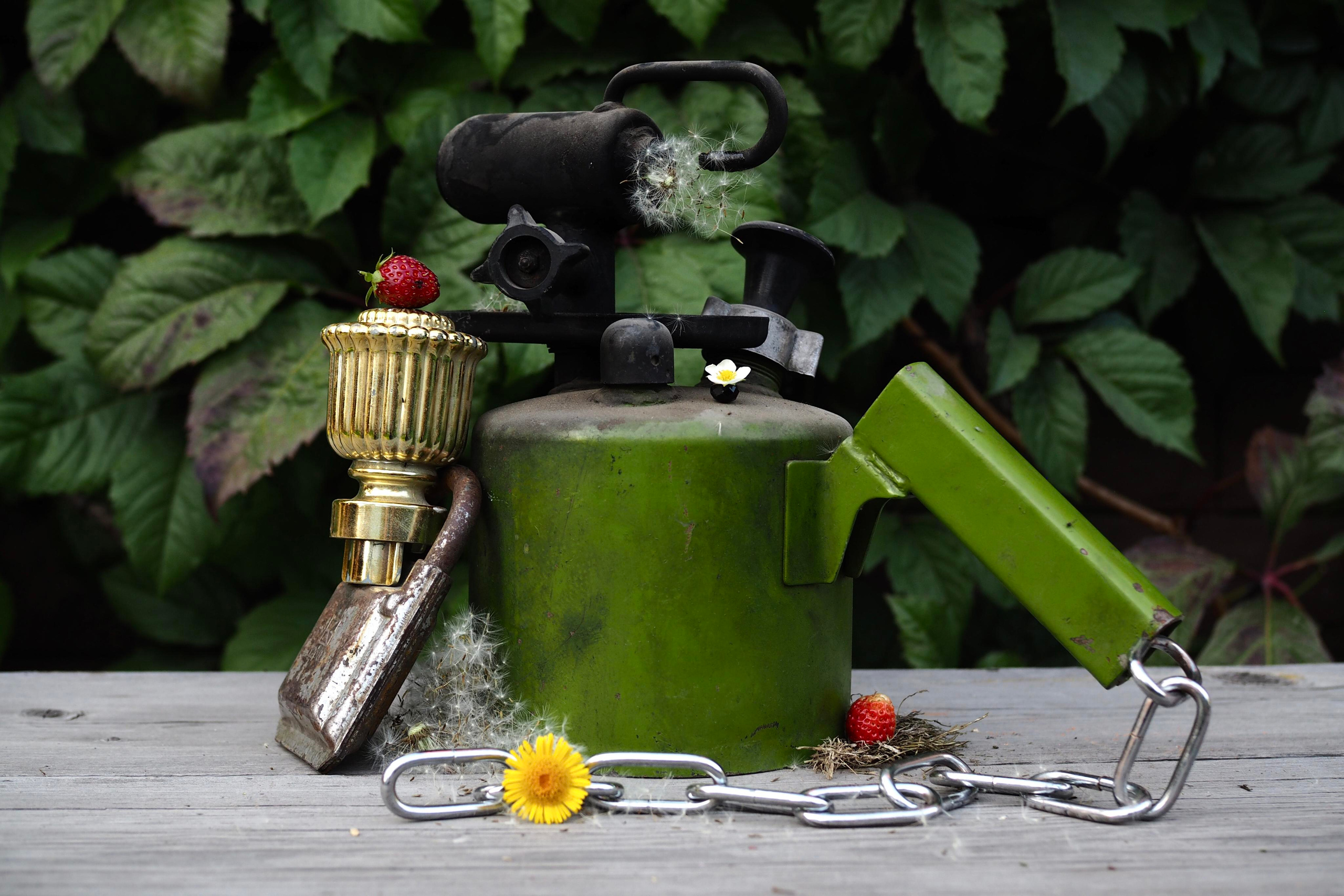 Still life photography. Visual artist Irina Heinz