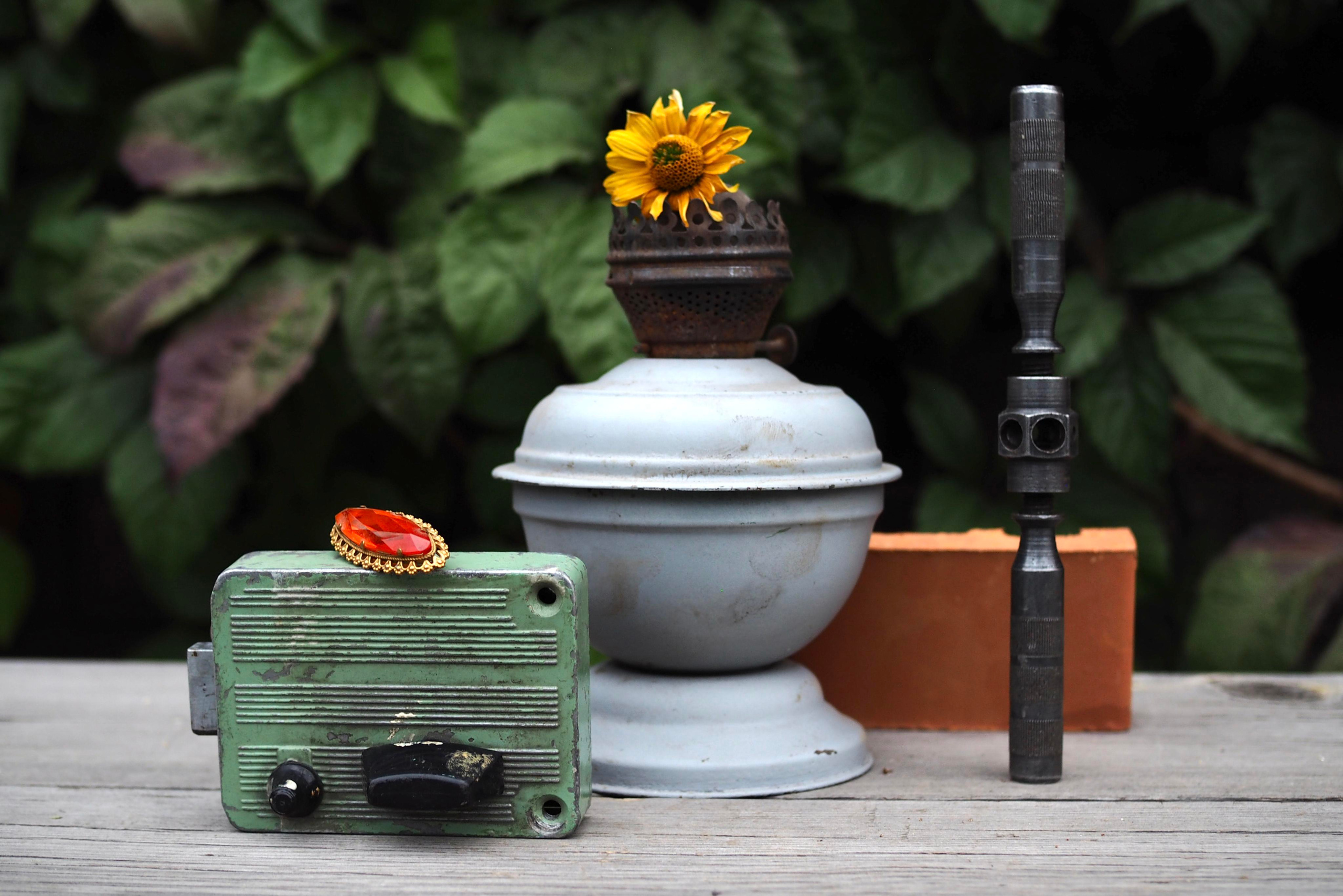 Still life photography. Visual artist Irina Heinz